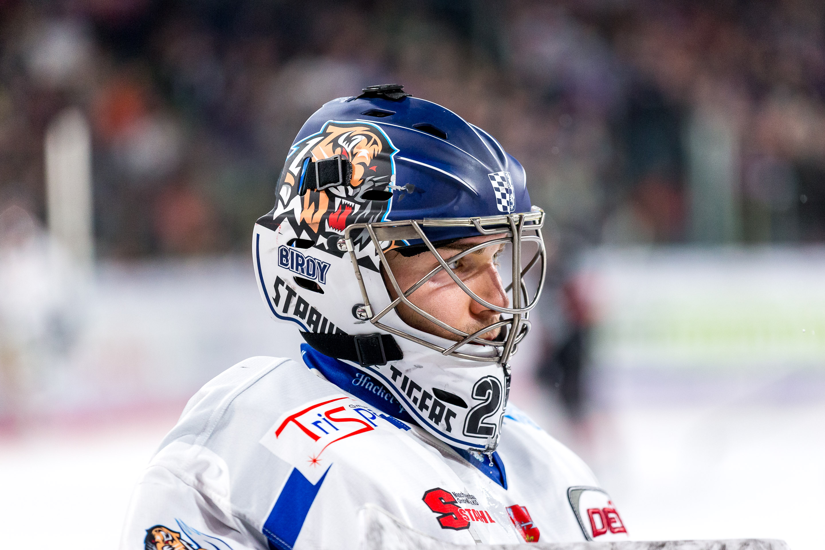 Nuernberg Ice Tigers - Straubing Tigers