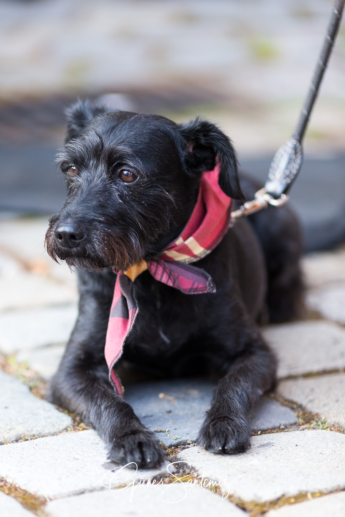 19. Fürth Festival - Eyjafjallajökull Orchester