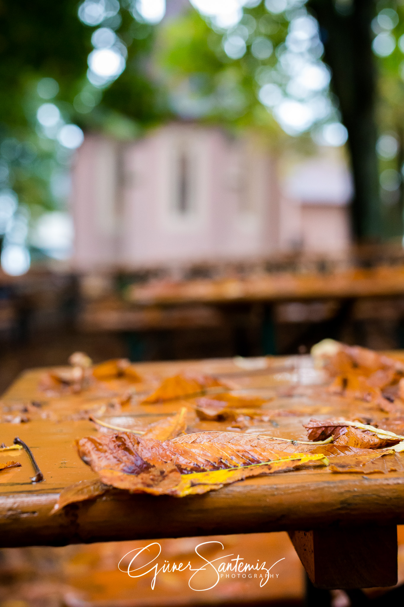Herbsttag auf dem Kunigundenberg
