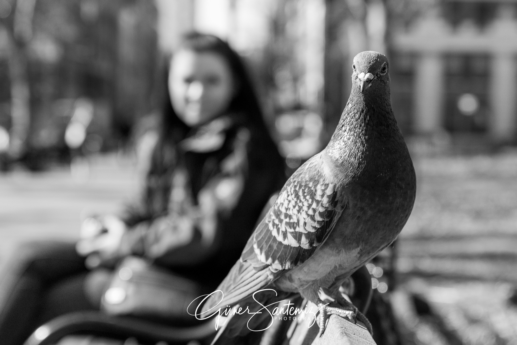 New York in a different angle