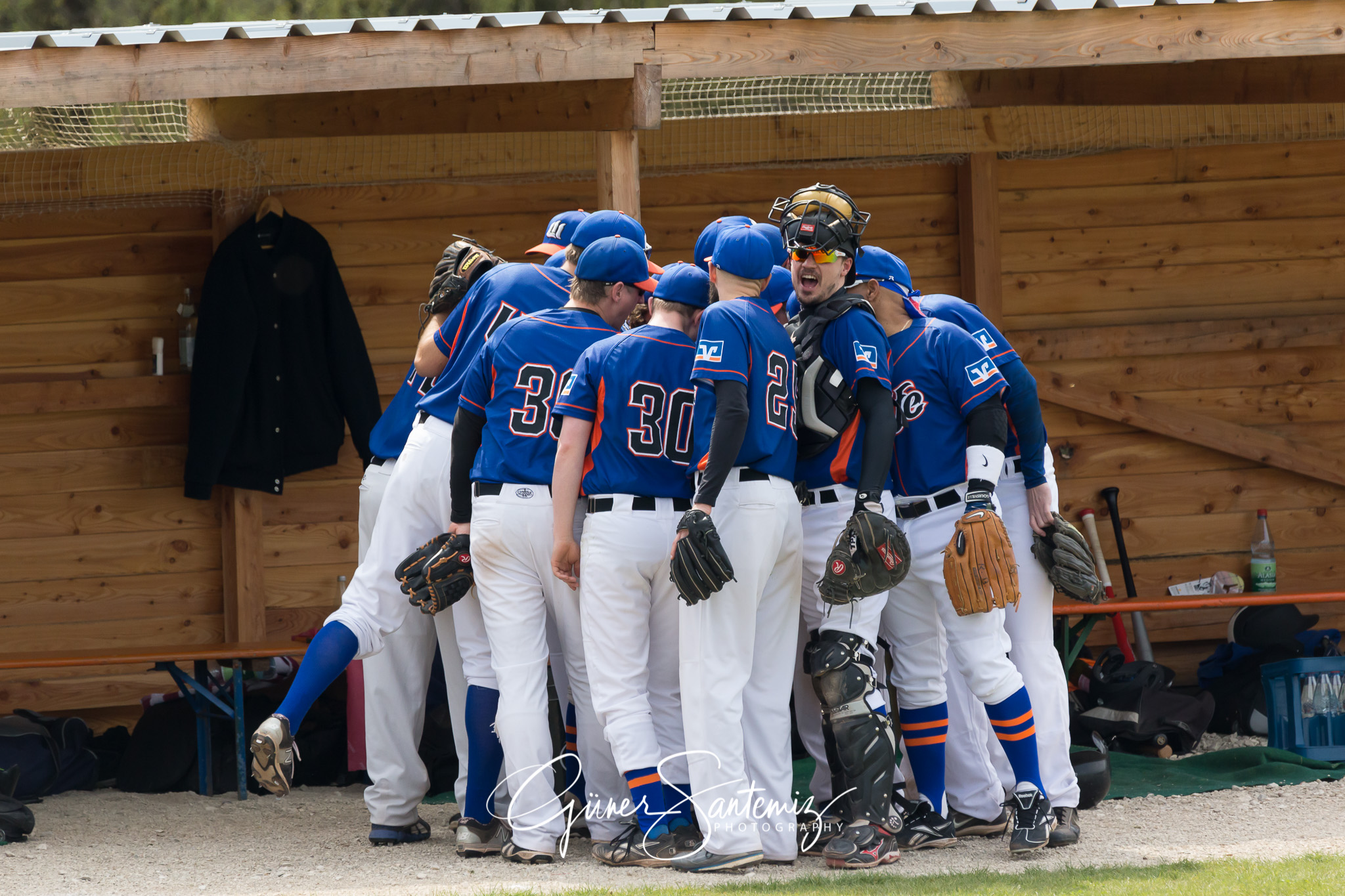Baseball - Laufer Wölfe - Ingolstadt Schanzer