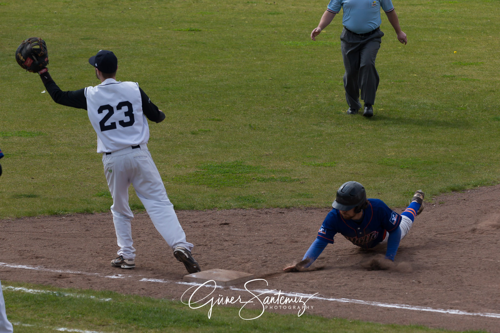 Baseball - Laufer Wölfe - Ingolstadt Schanzer