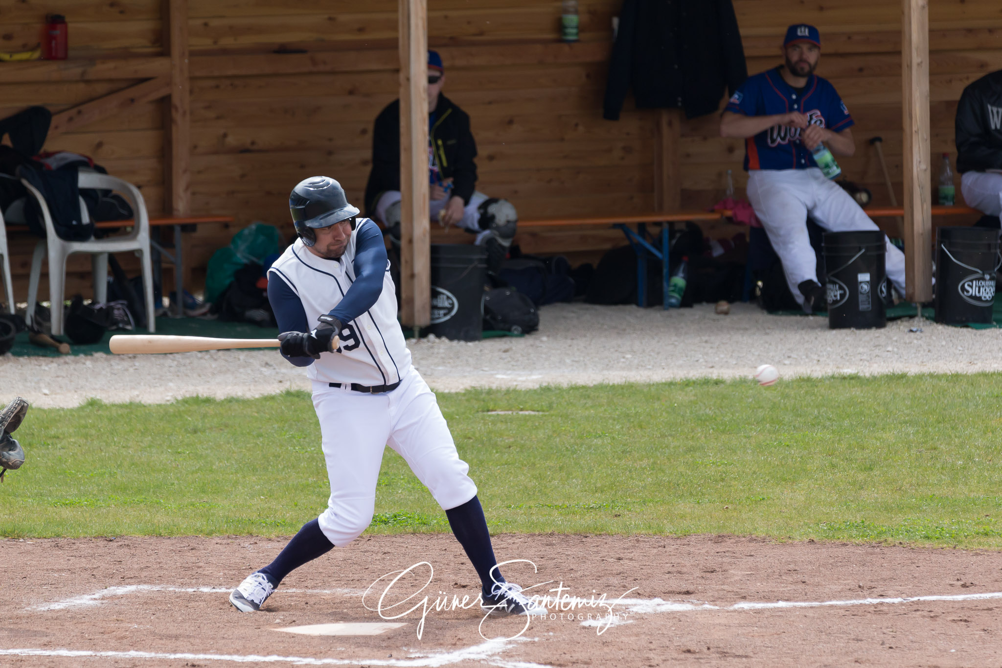 Baseball - Laufer Wölfe - Ingolstadt Schanzer