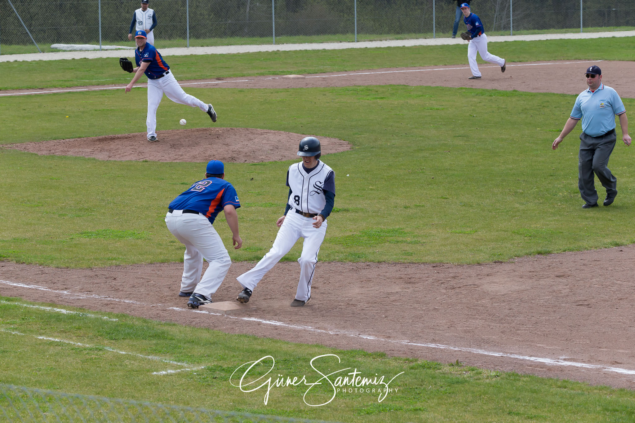 Baseball - Laufer Wölfe - Ingolstadt Schanzer