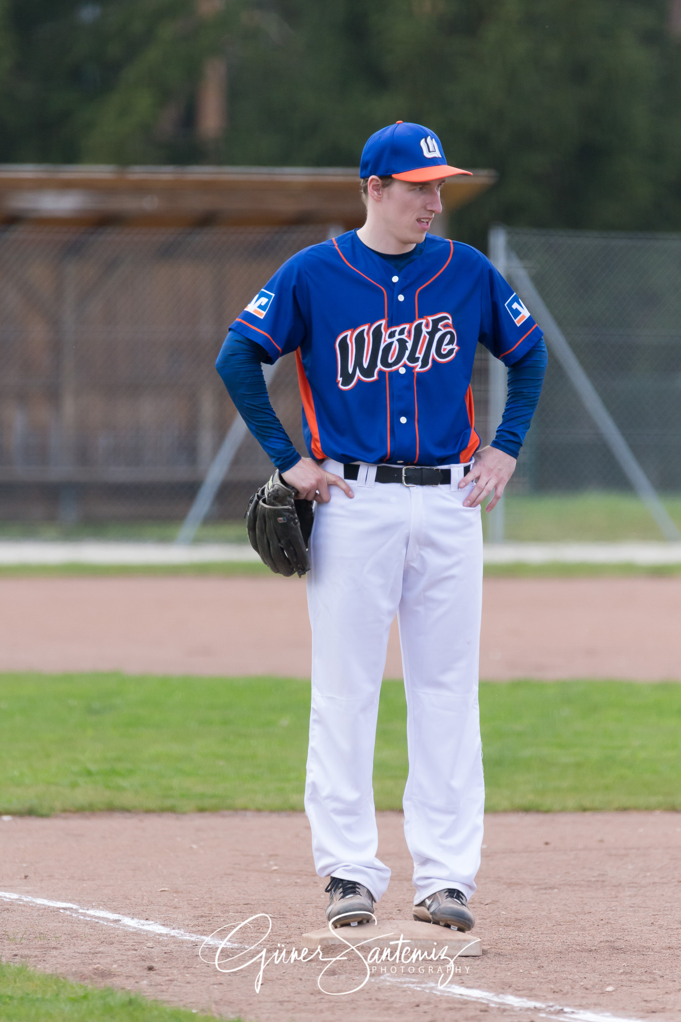 Baseball - Laufer Wölfe - Ingolstadt Schanzer