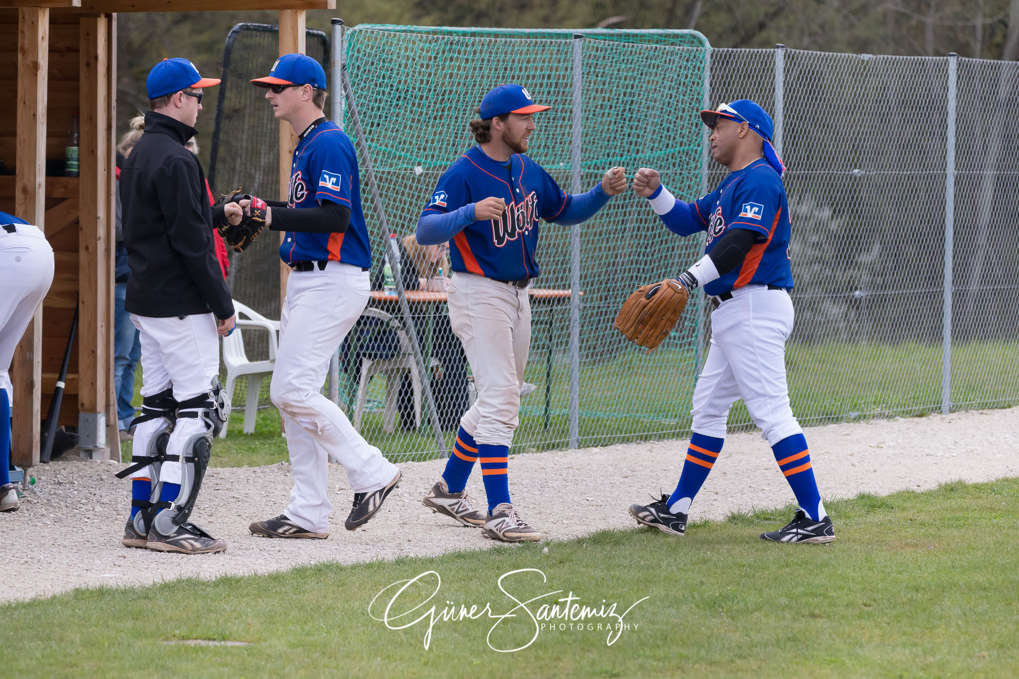 Baseball - Laufer Wölfe - Ingolstadt Schanzer