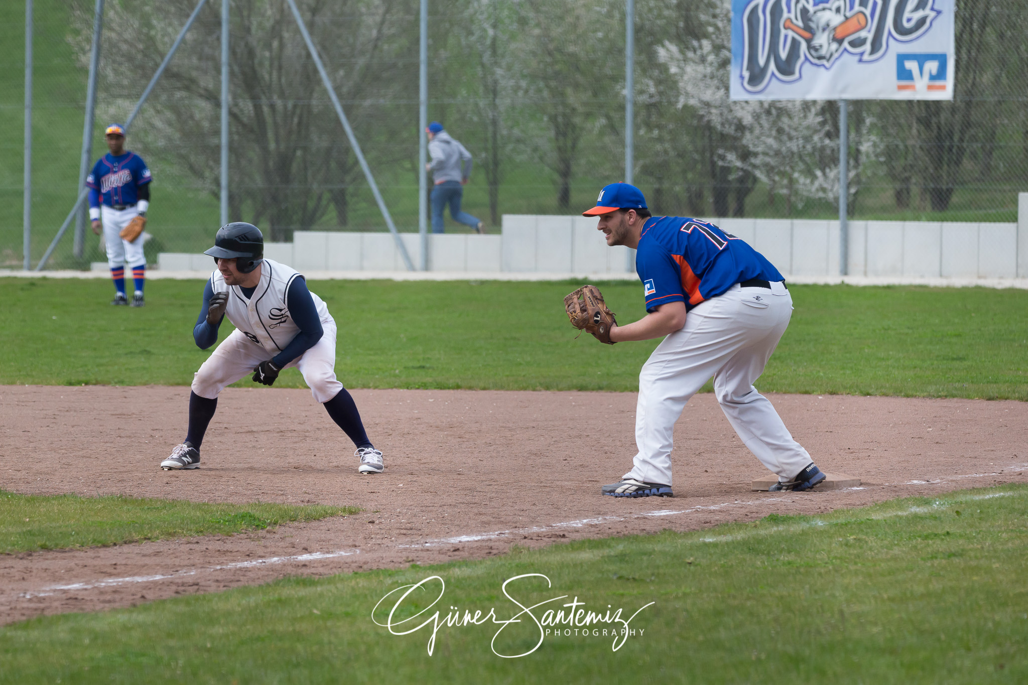 Baseball - Laufer Wölfe - Ingolstadt Schanzer