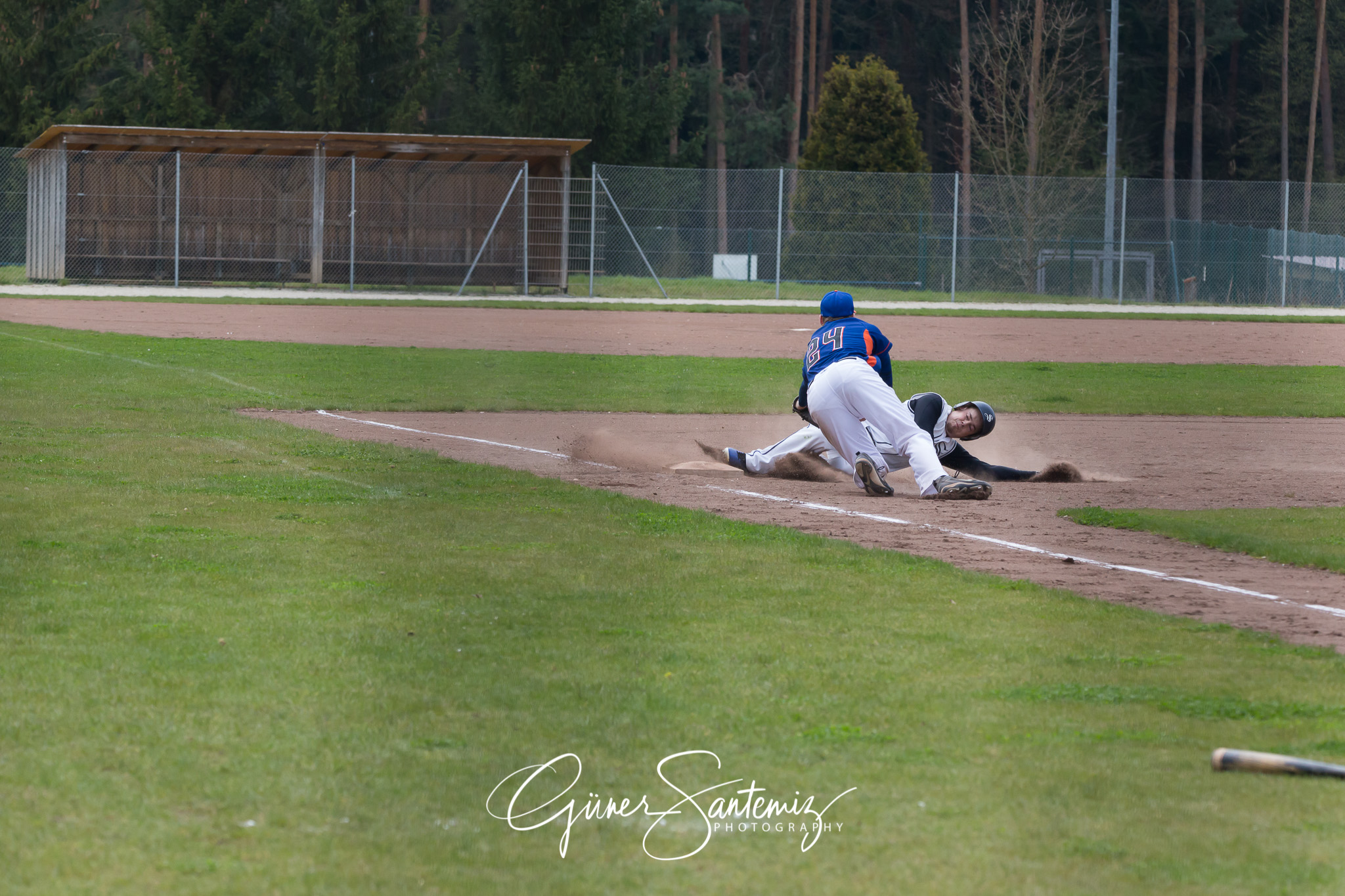 Baseball - Laufer Wölfe - Ingolstadt Schanzer