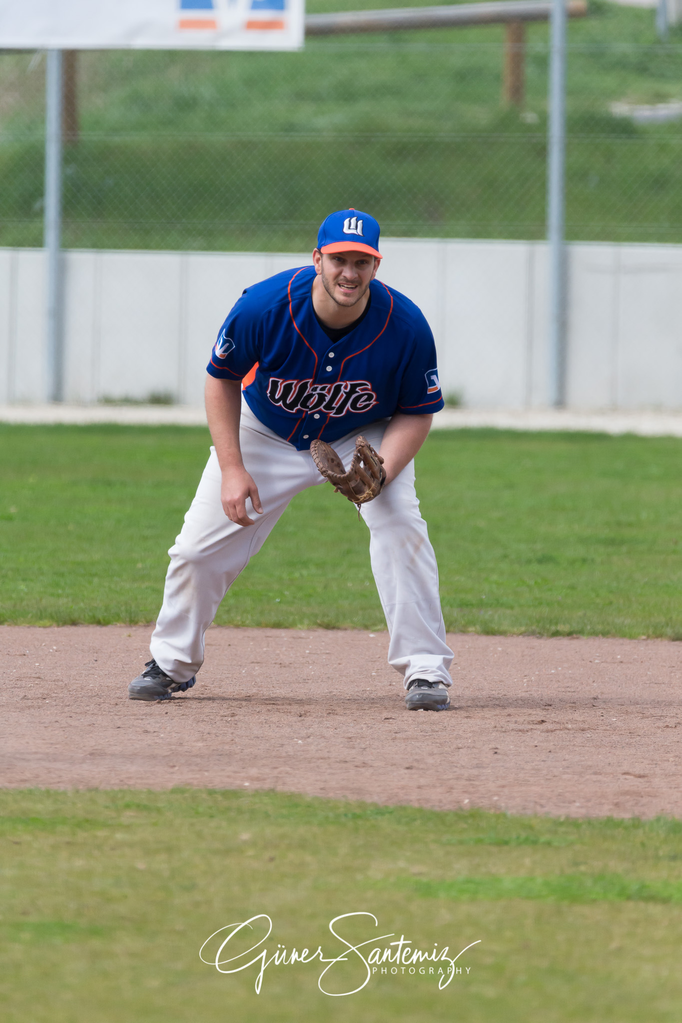Baseball - Laufer Wölfe - Ingolstadt Schanzer