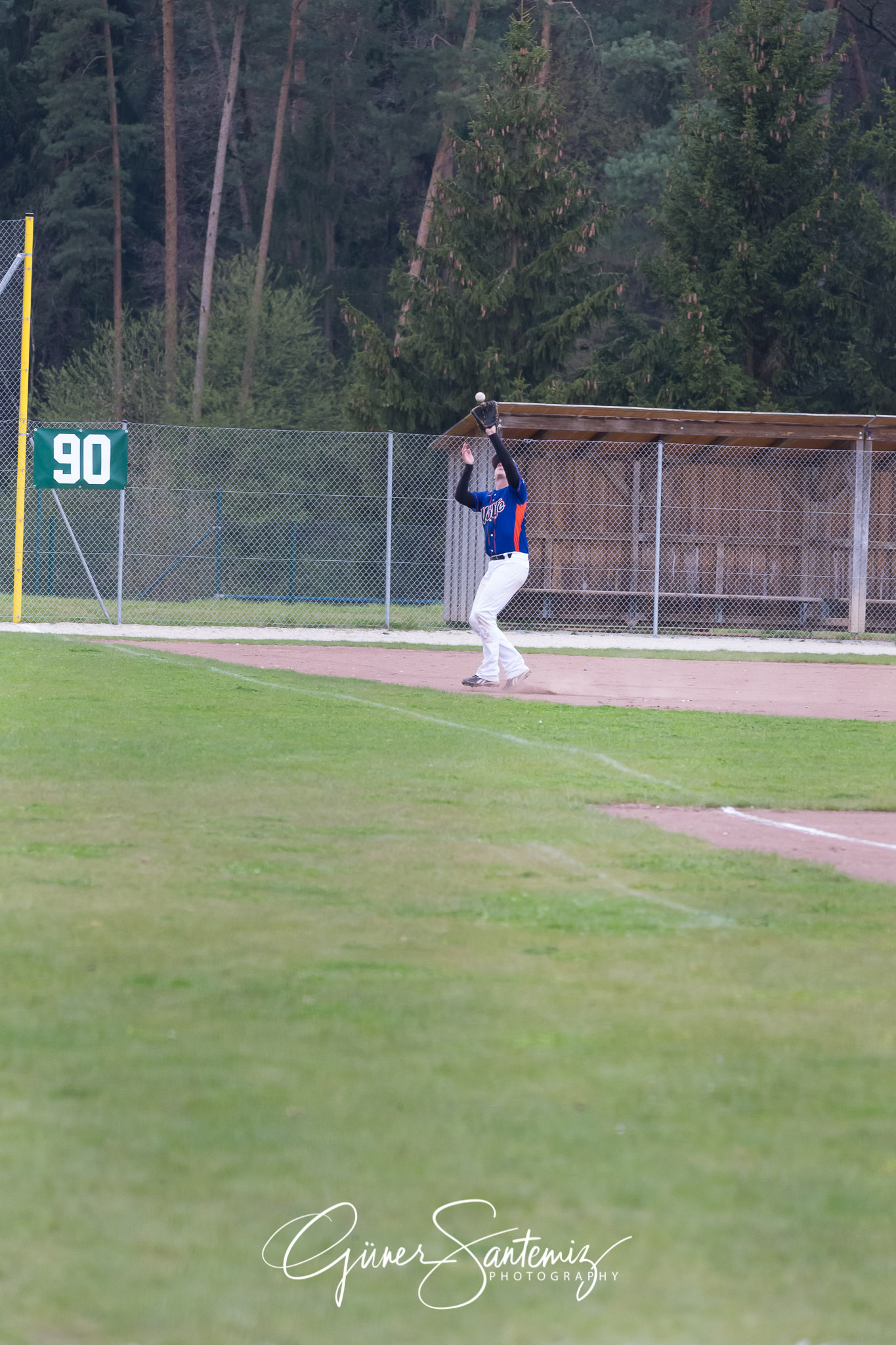 Baseball - Laufer Wölfe - Ingolstadt Schanzer