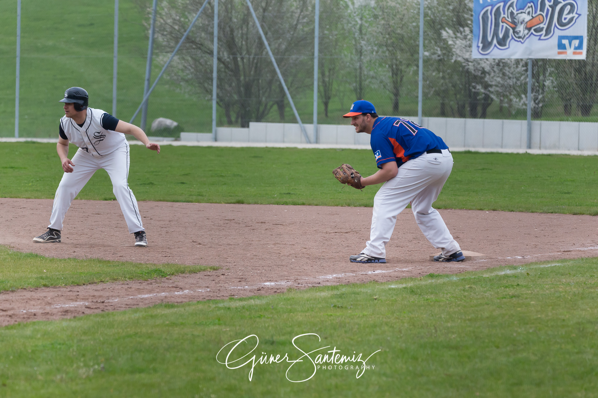 Baseball - Laufer Wölfe - Ingolstadt Schanzer