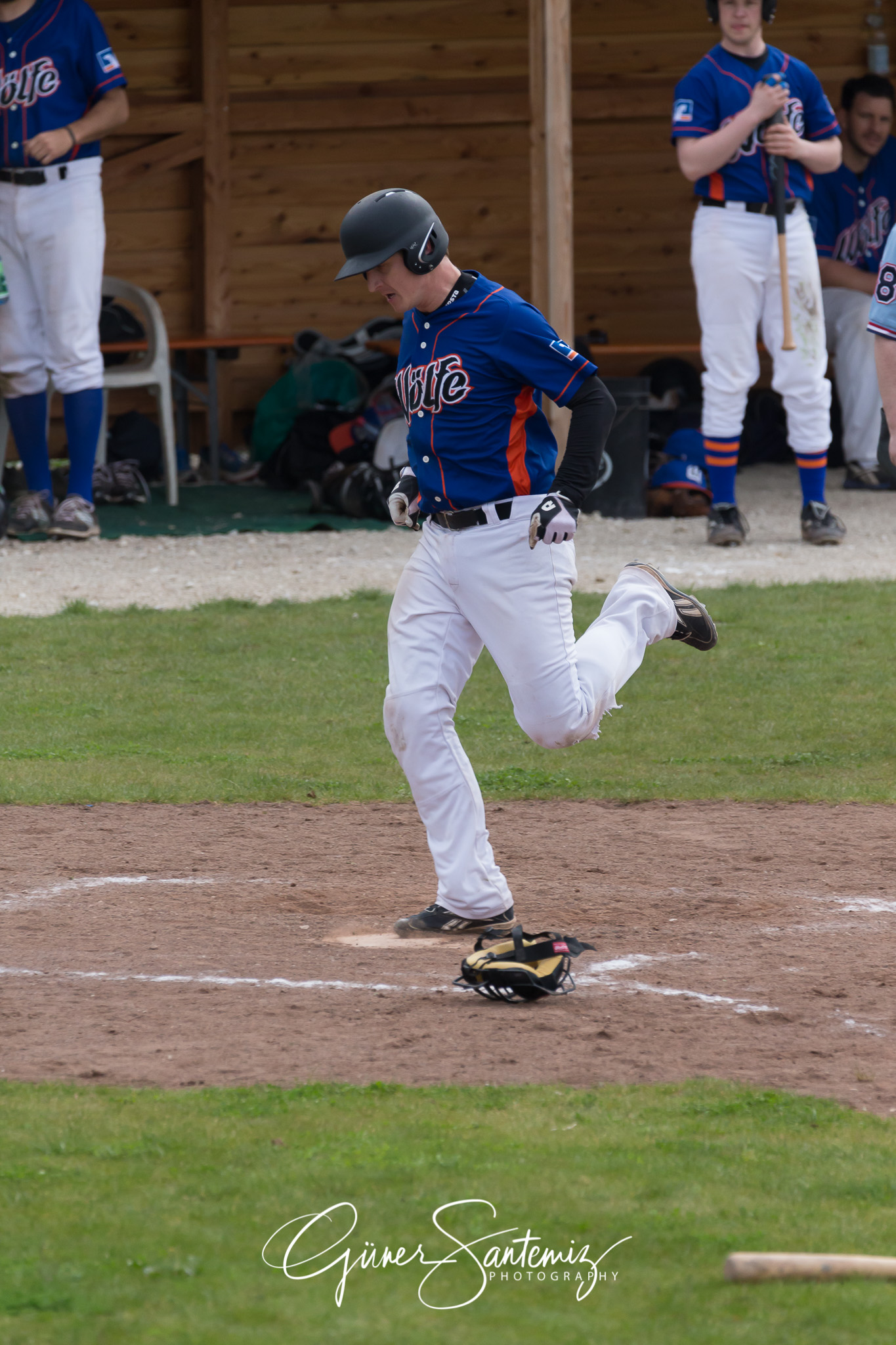 Baseball - Laufer Wölfe - Ingolstadt Schanzer