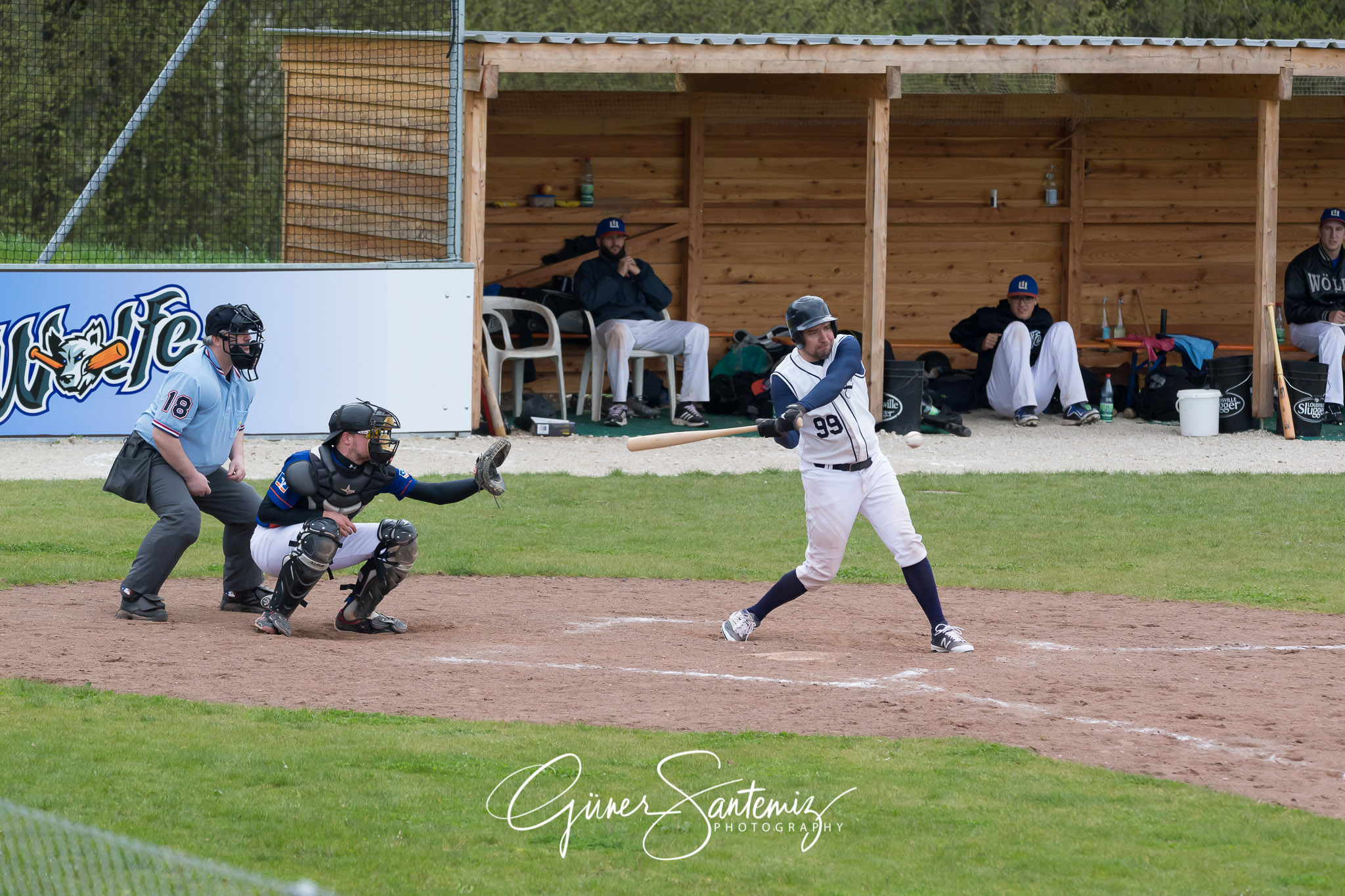 Baseball - Laufer Wölfe - Ingolstadt Schanzer