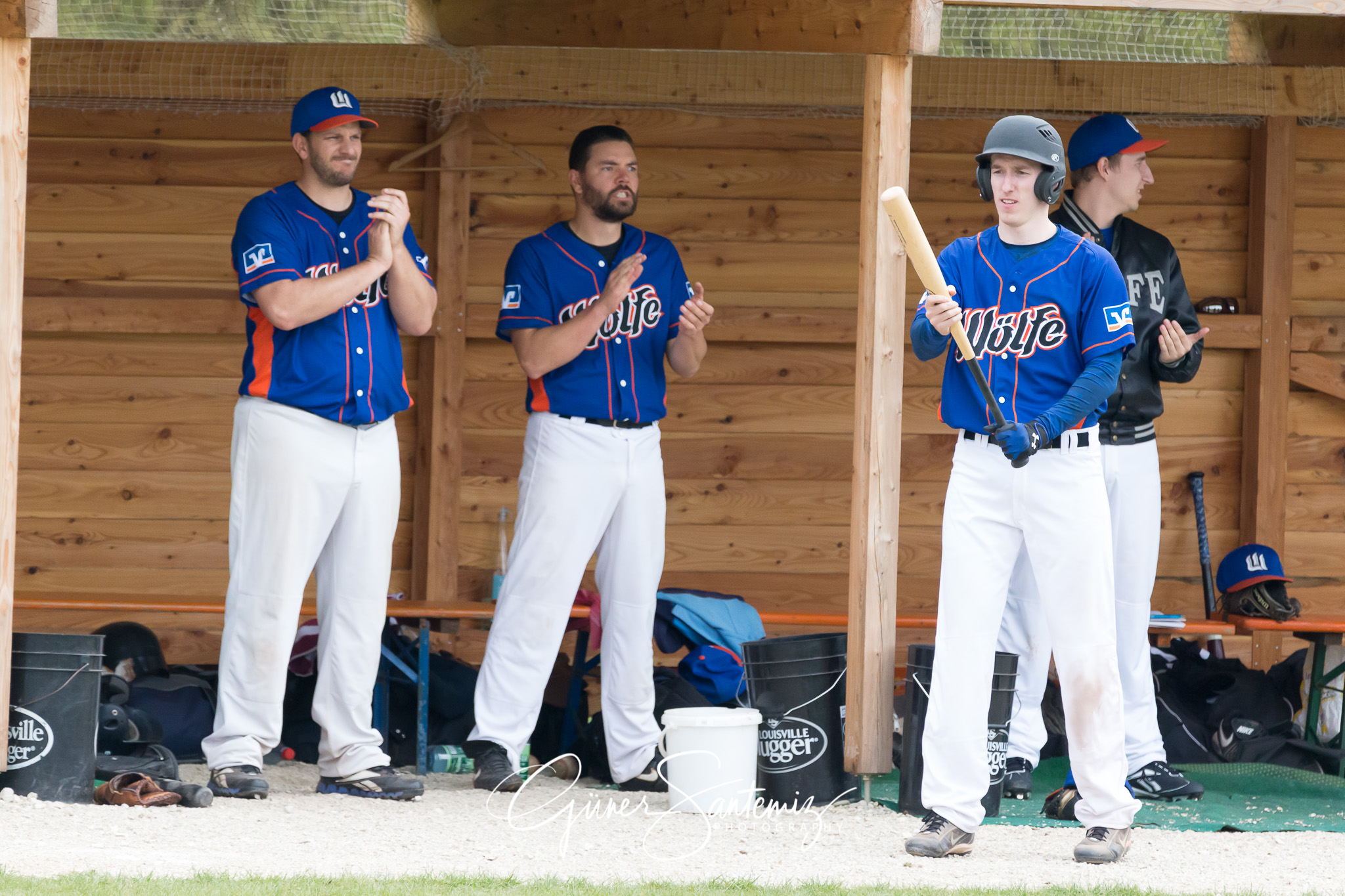 Baseball - Laufer Wölfe - Ingolstadt Schanzer