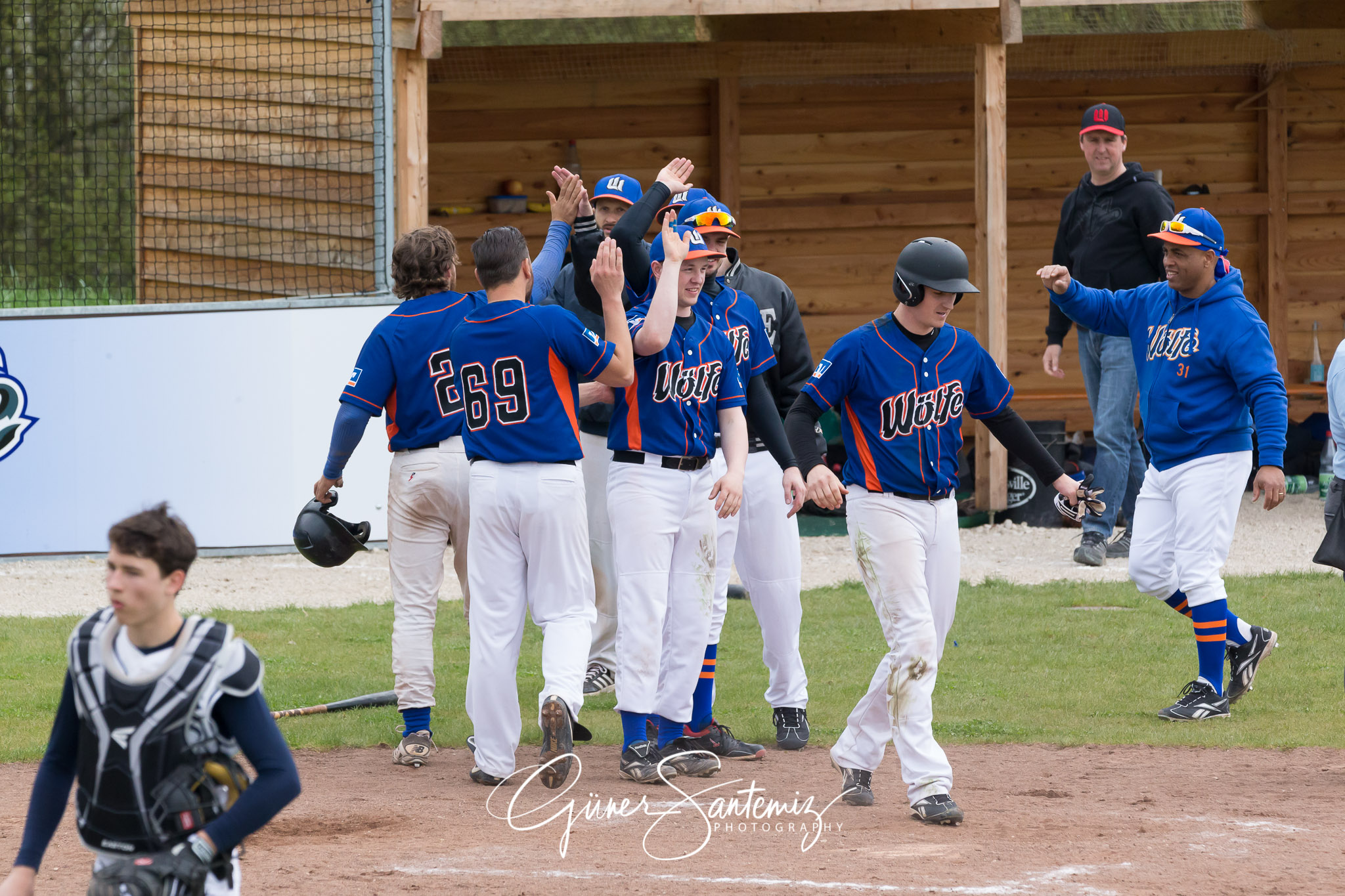 Baseball - Laufer Wölfe - Ingolstadt Schanzer