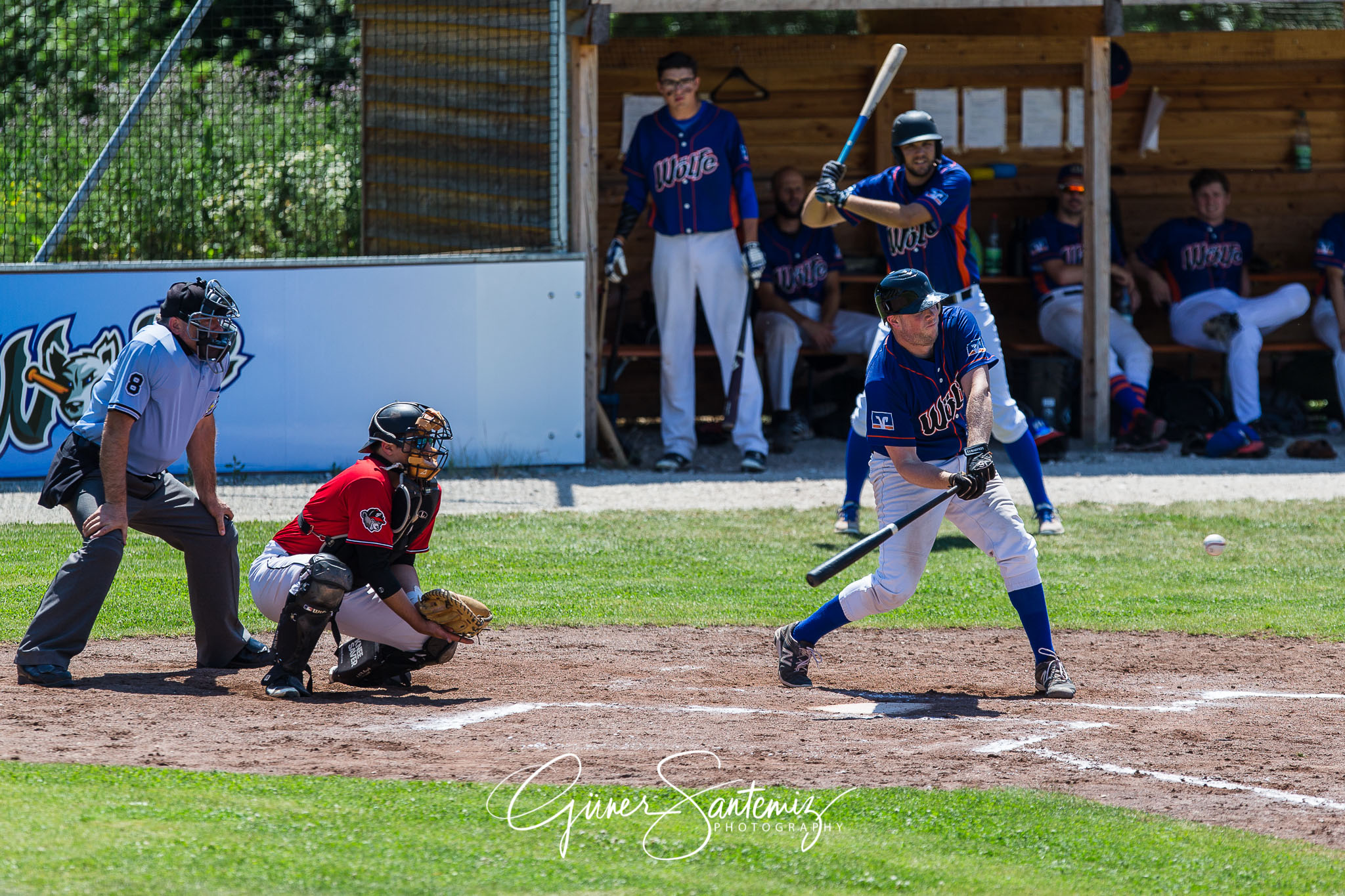 Baseball - Laufer Wölfe - Freising Grizzlies