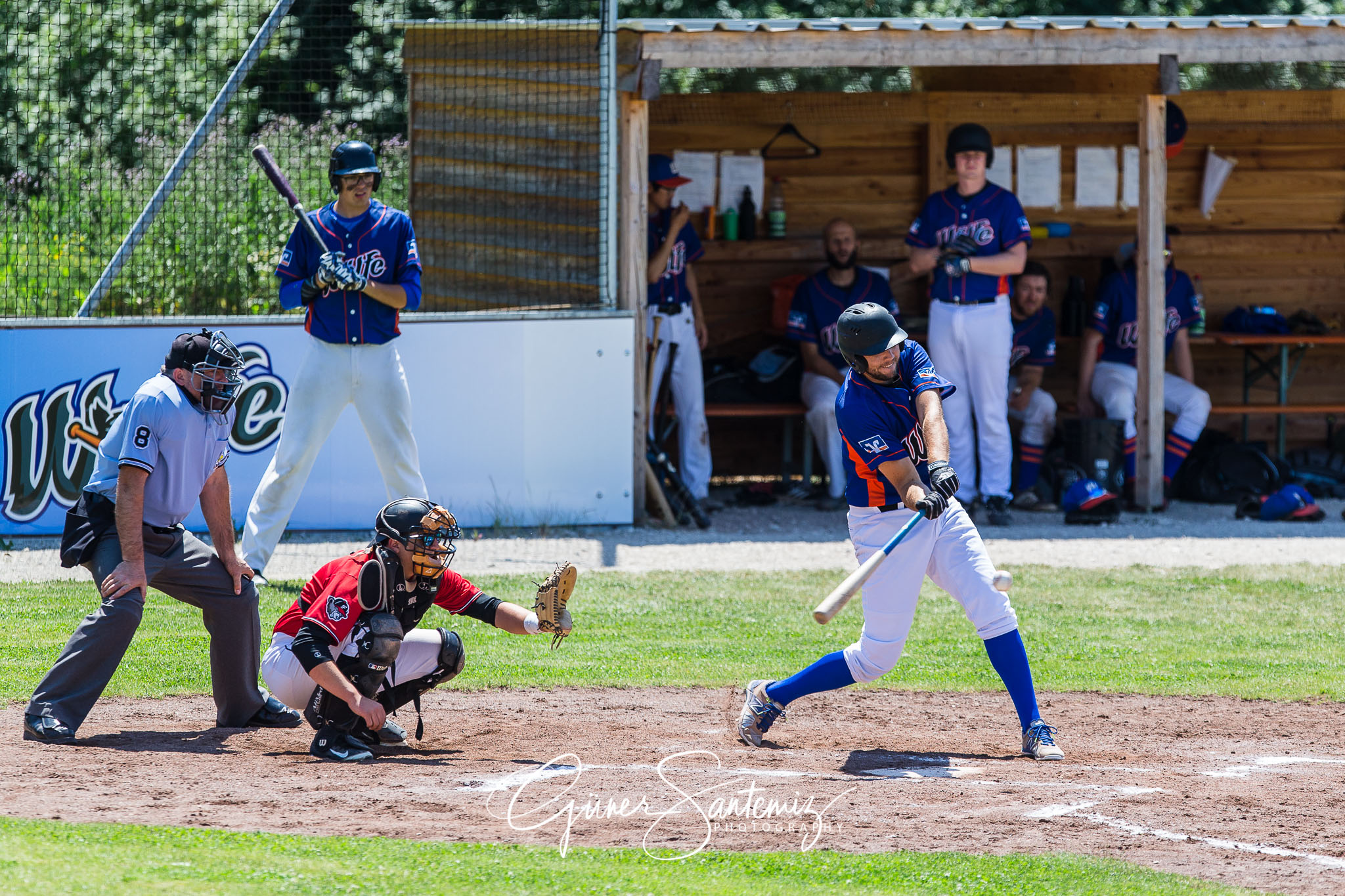 Baseball - Laufer Wölfe - Freising Grizzlies