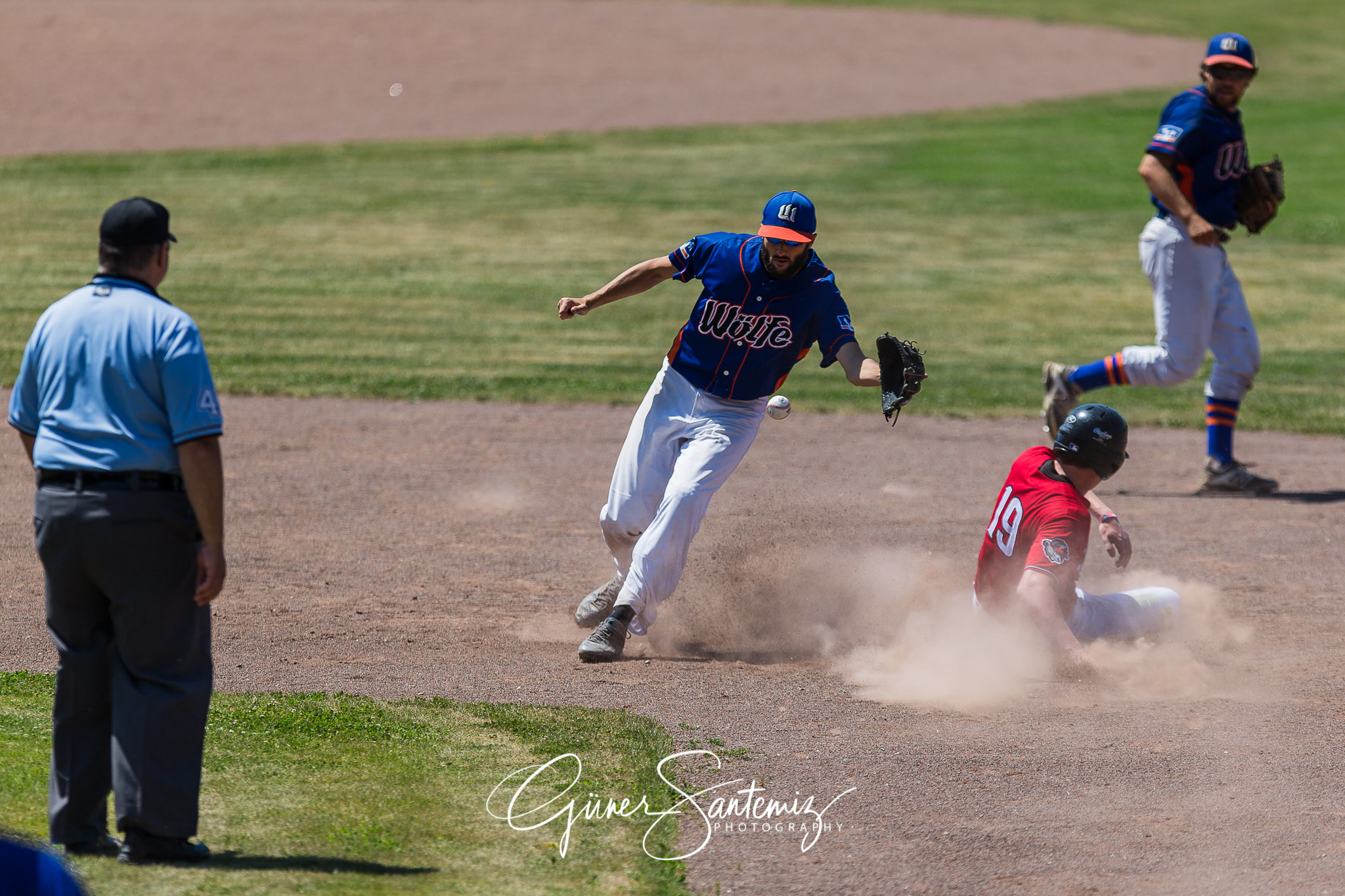Baseball - Laufer Wölfe - Freising Grizzlies