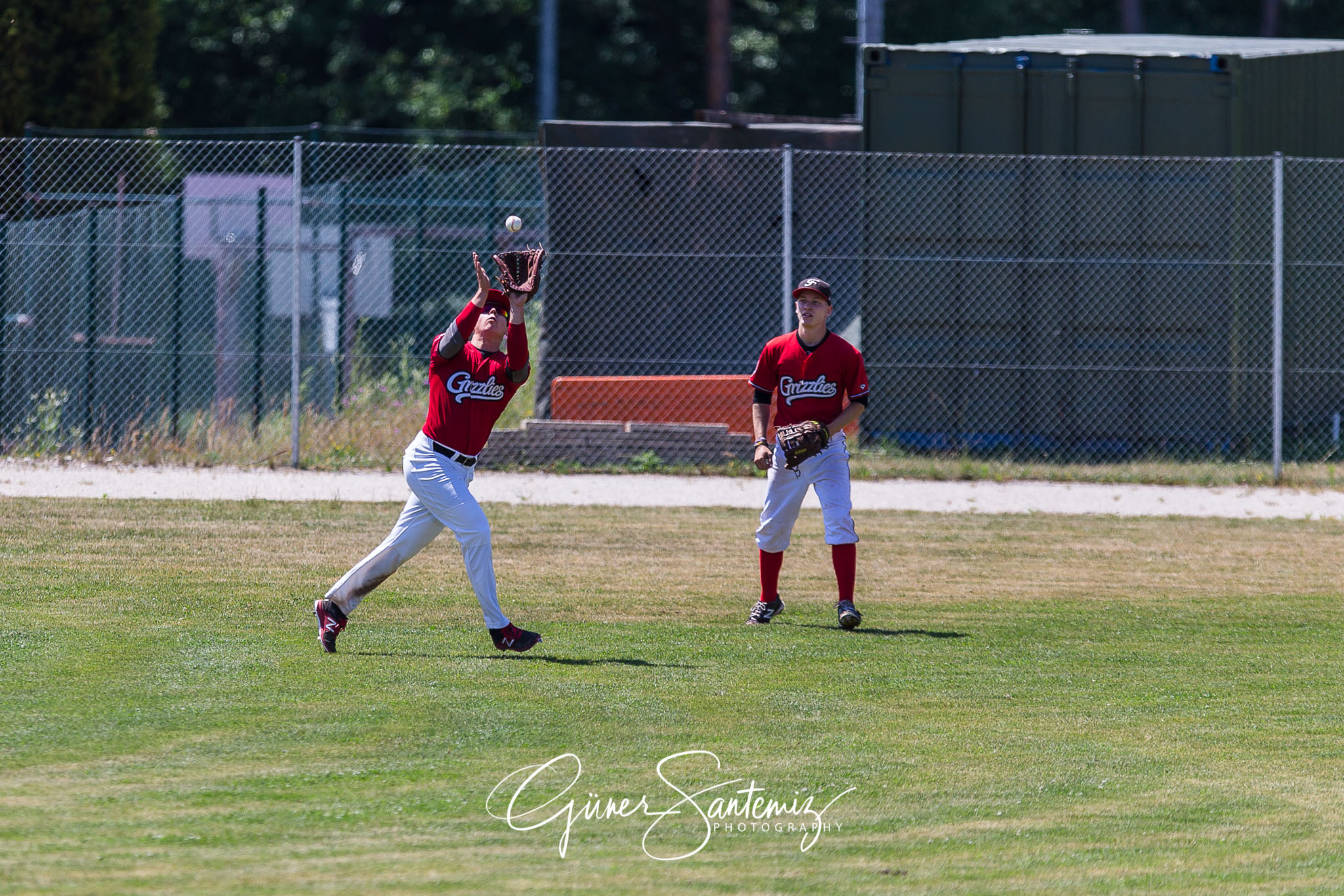 Baseball - Laufer Wölfe - Freising Grizzlies