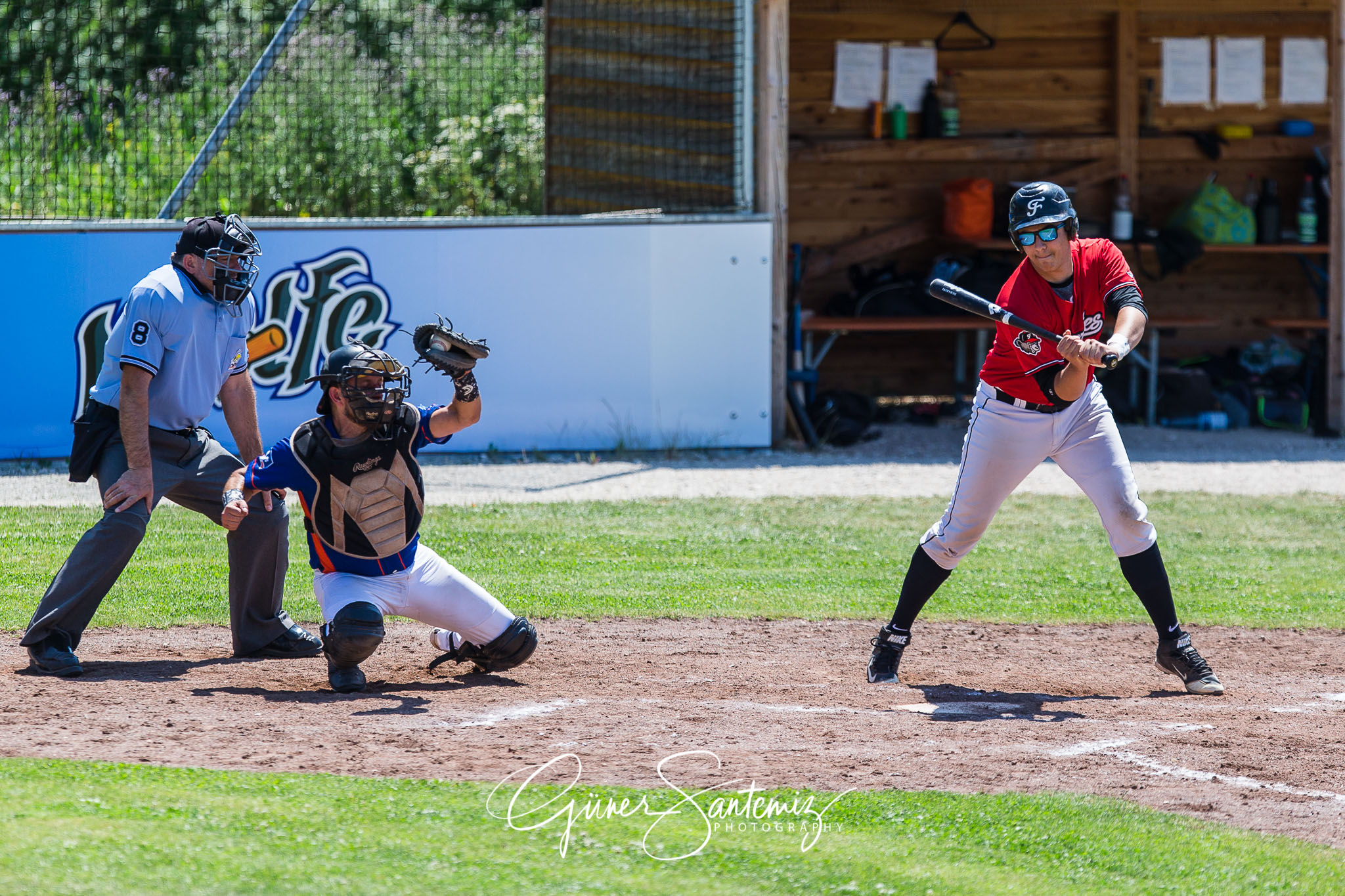 Baseball - Laufer Wölfe - Freising Grizzlies