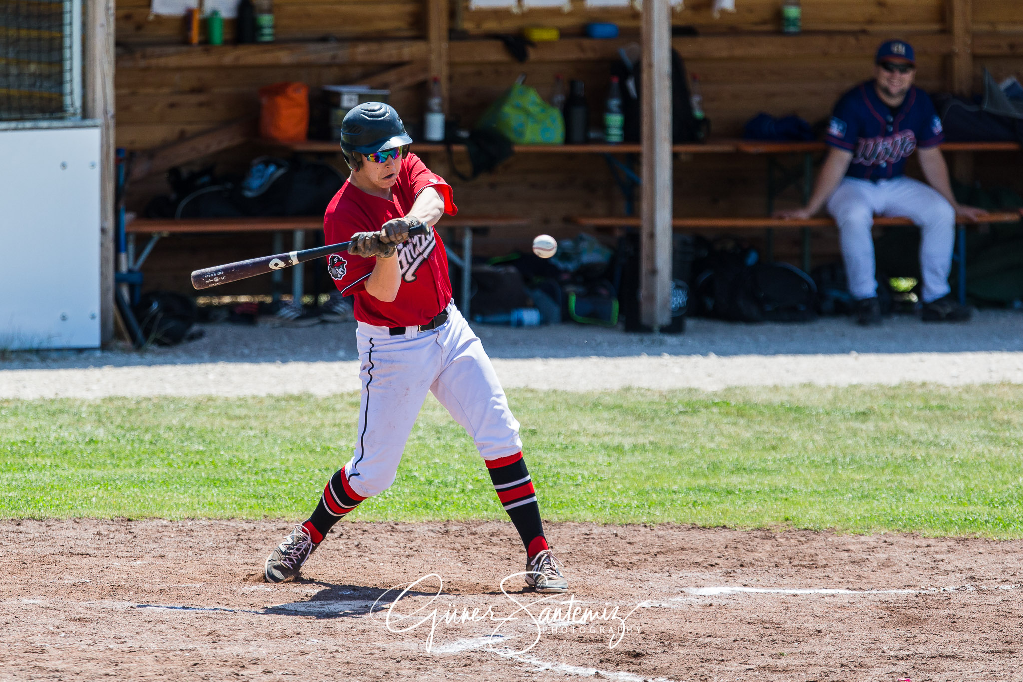 Baseball - Laufer Wölfe - Freising Grizzlies