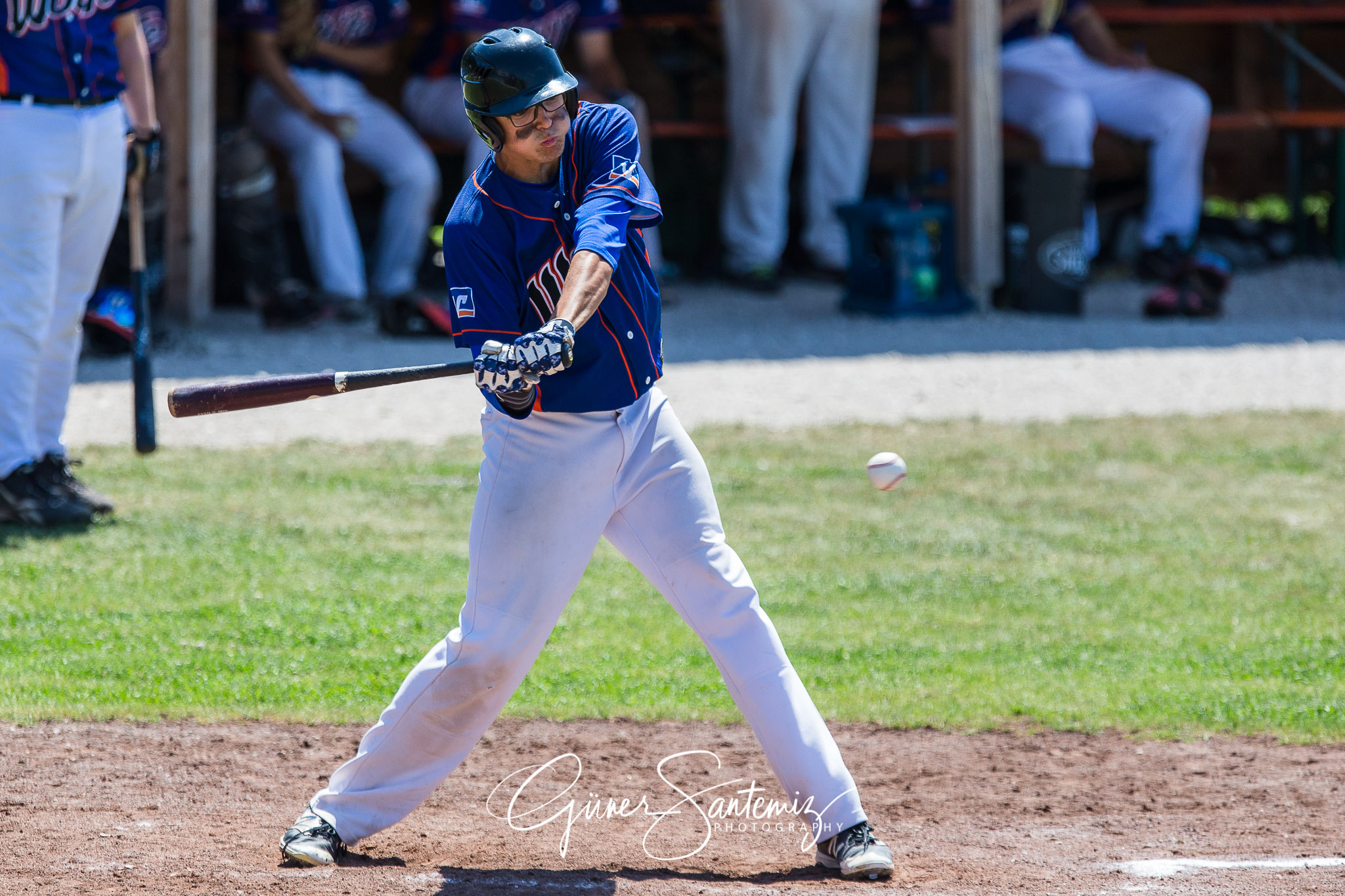 Baseball - Laufer Wölfe - Freising Grizzlies