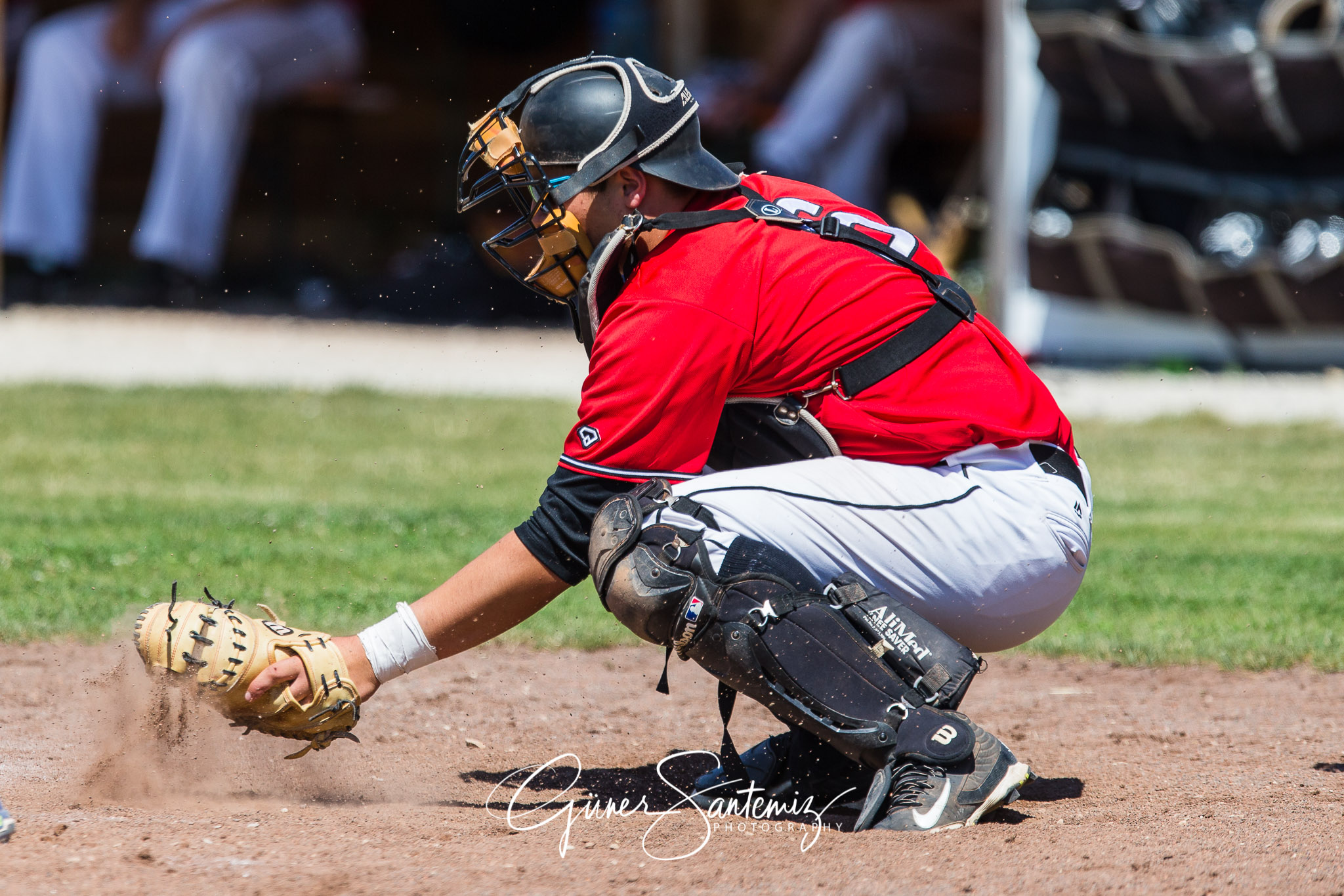 Baseball - Laufer Wölfe - Freising Grizzlies