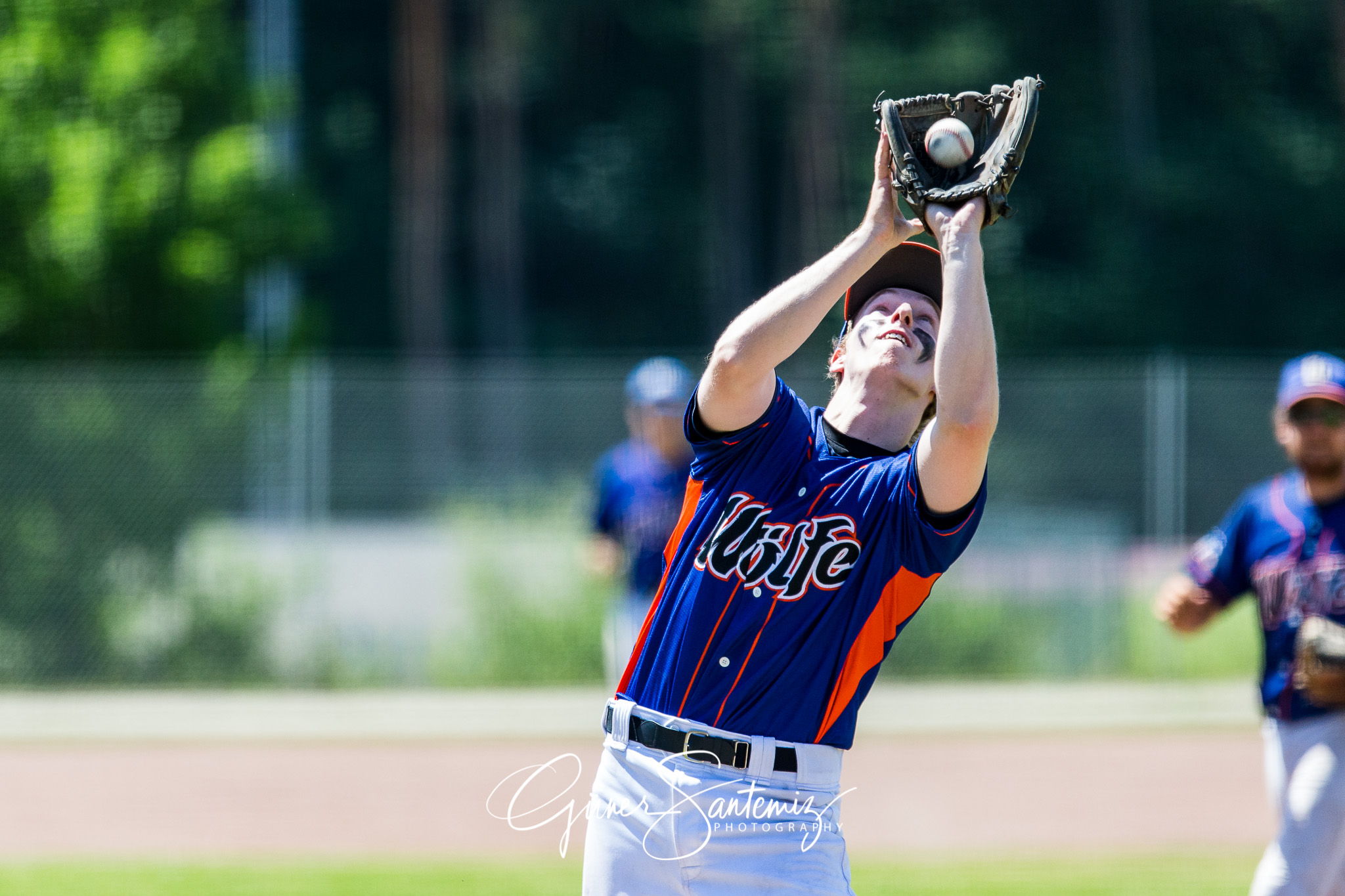 Baseball - Laufer Wölfe - Freising Grizzlies