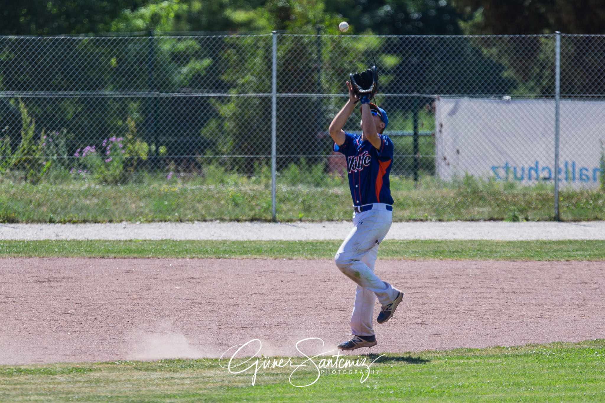 Baseball - Laufer Wölfe - Freising Grizzlies