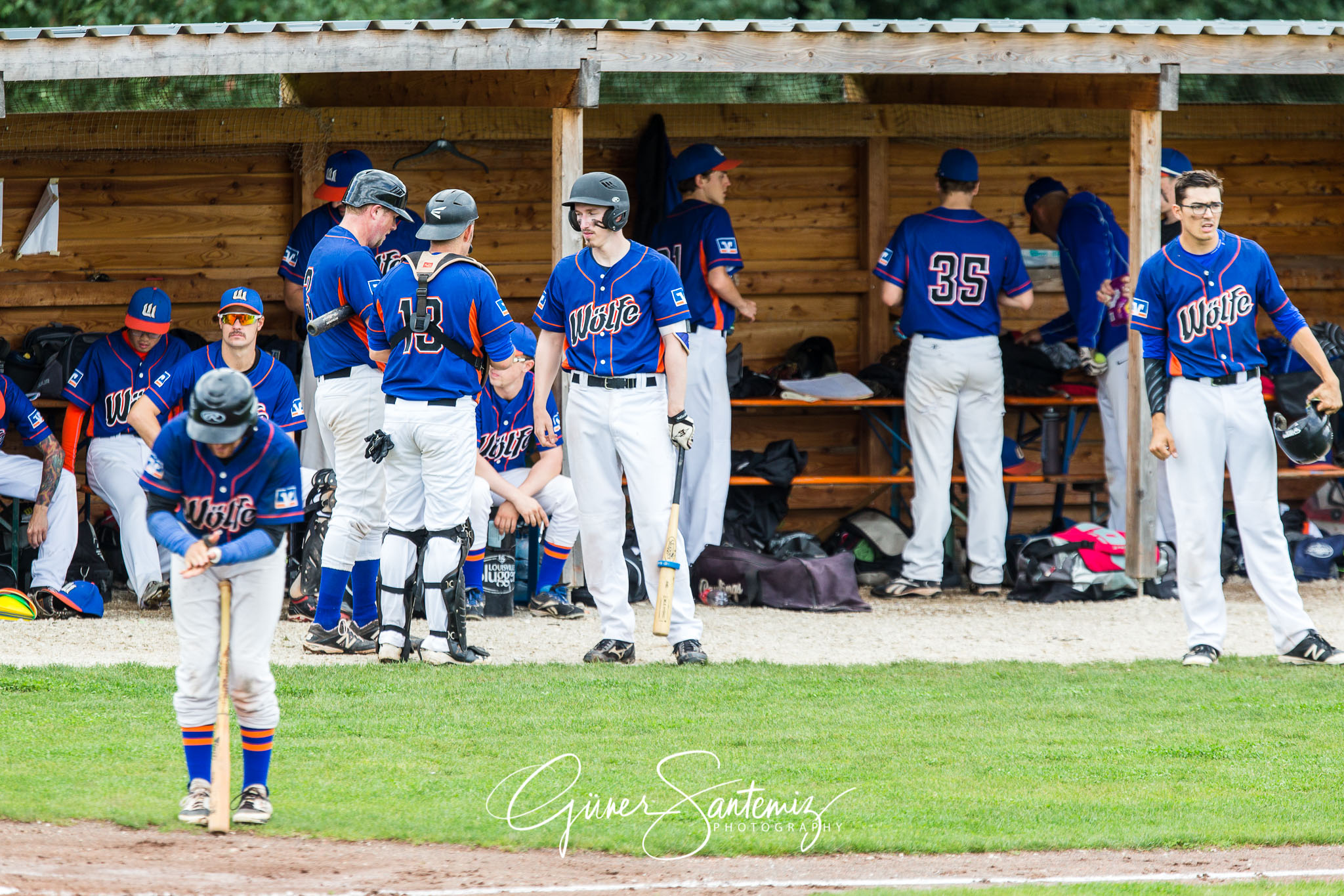 Baseball - Raiffeisen Wölfe Lauf - Fürth Pirates
