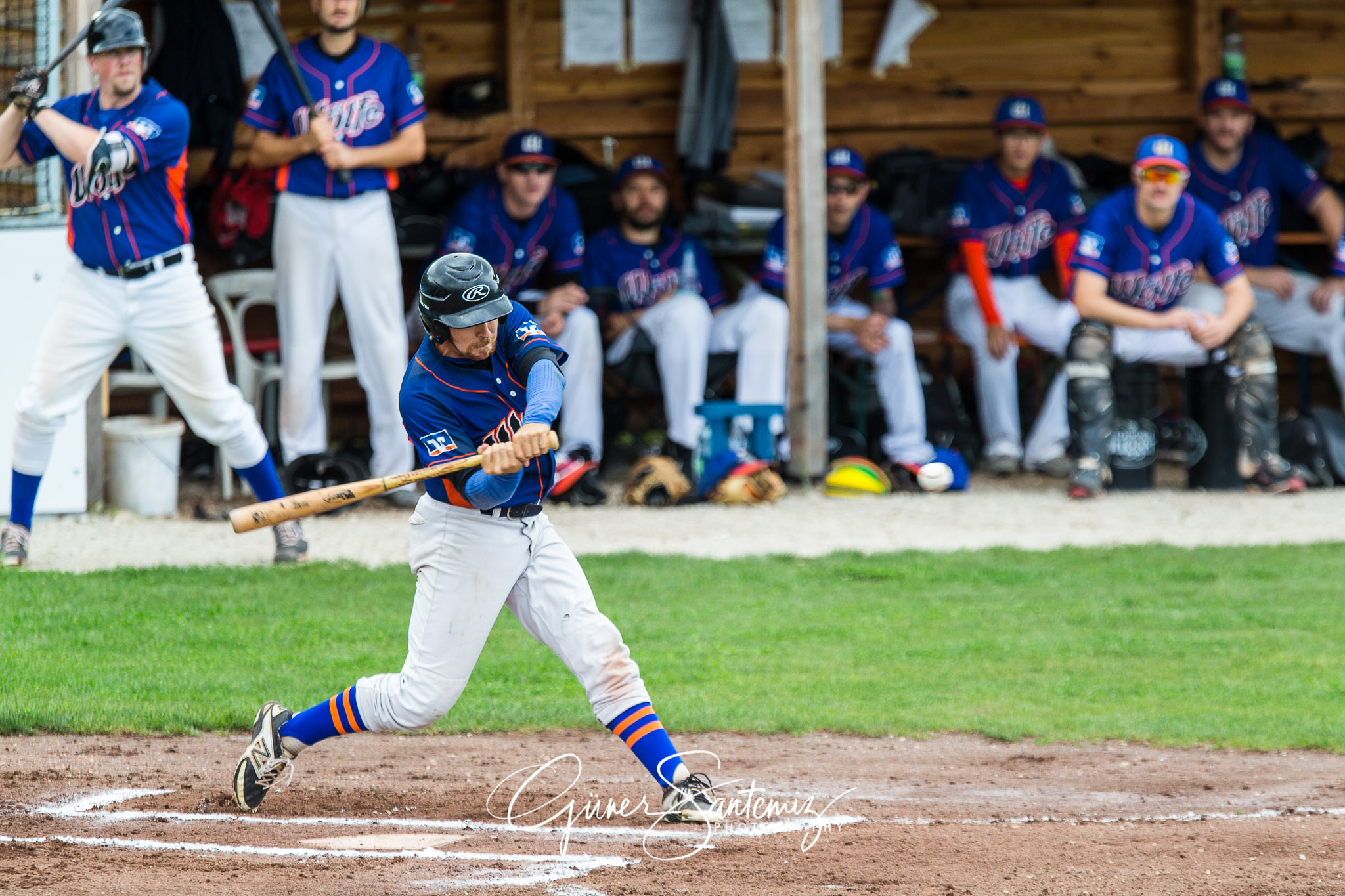 Baseball - Raiffeisen Wölfe Lauf - Fürth Pirates