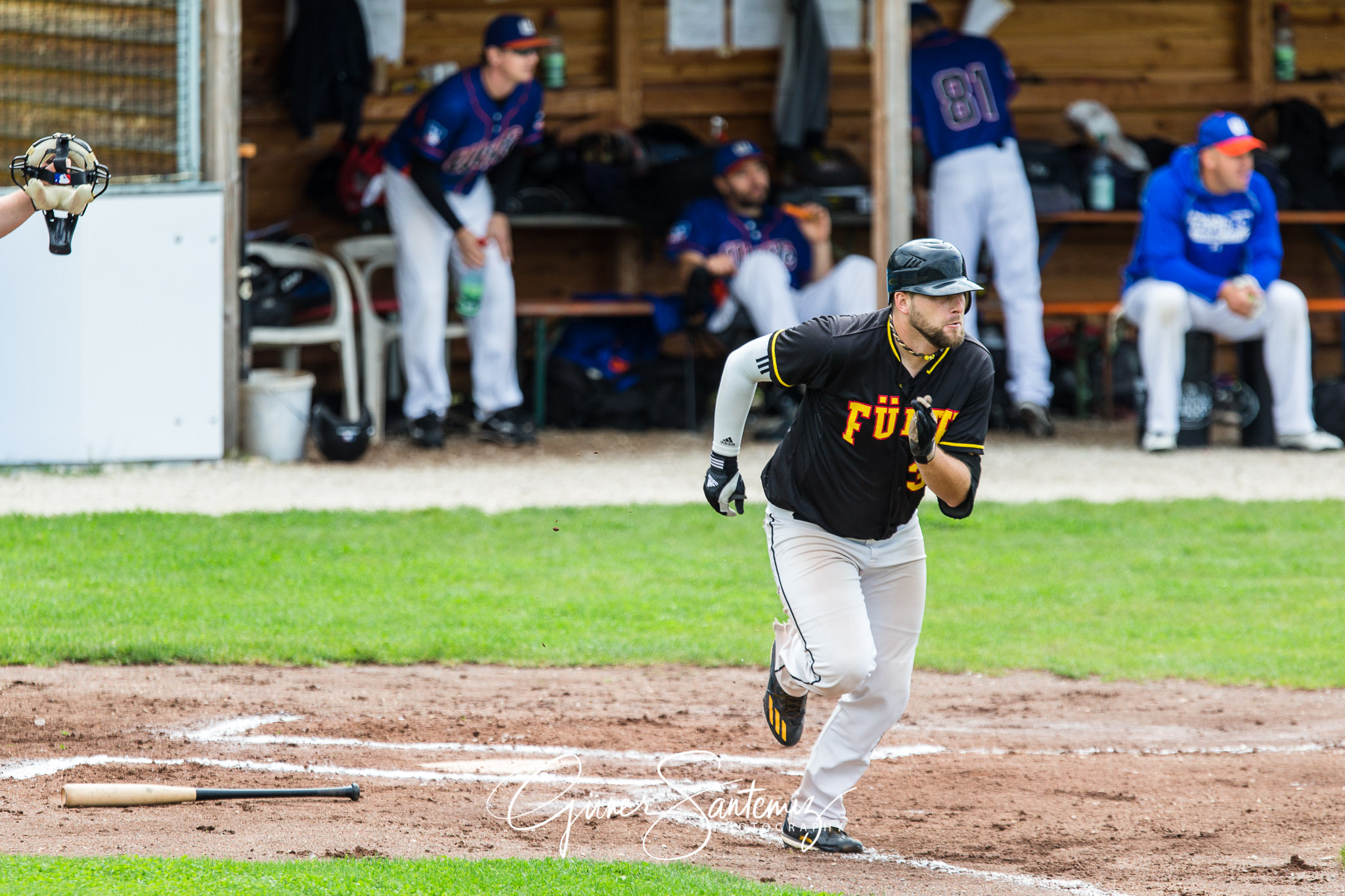 Baseball - Raiffeisen Wölfe Lauf - Fürth Pirates
