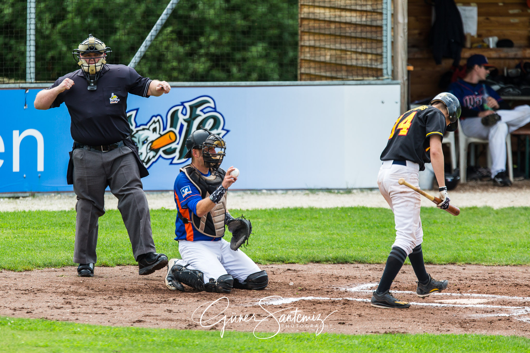 Baseball - Raiffeisen Wölfe Lauf - Fürth Pirates