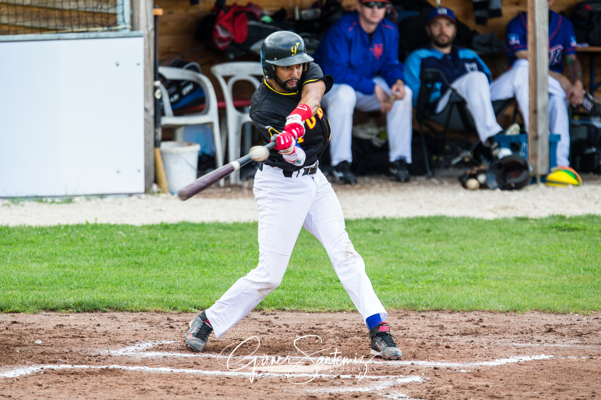 Baseball - Raiffeisen Wölfe Lauf - Fürth Pirates