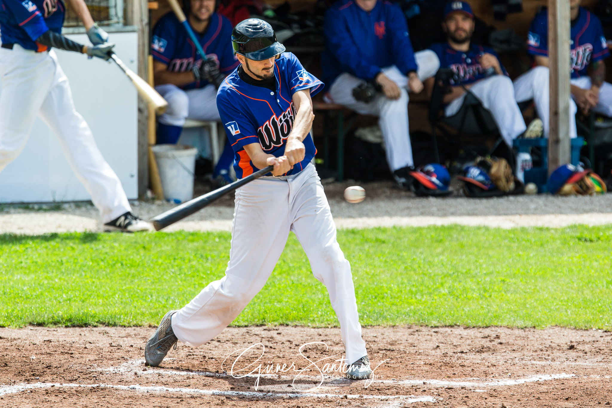 Baseball - Raiffeisen Wölfe Lauf - Fürth Pirates