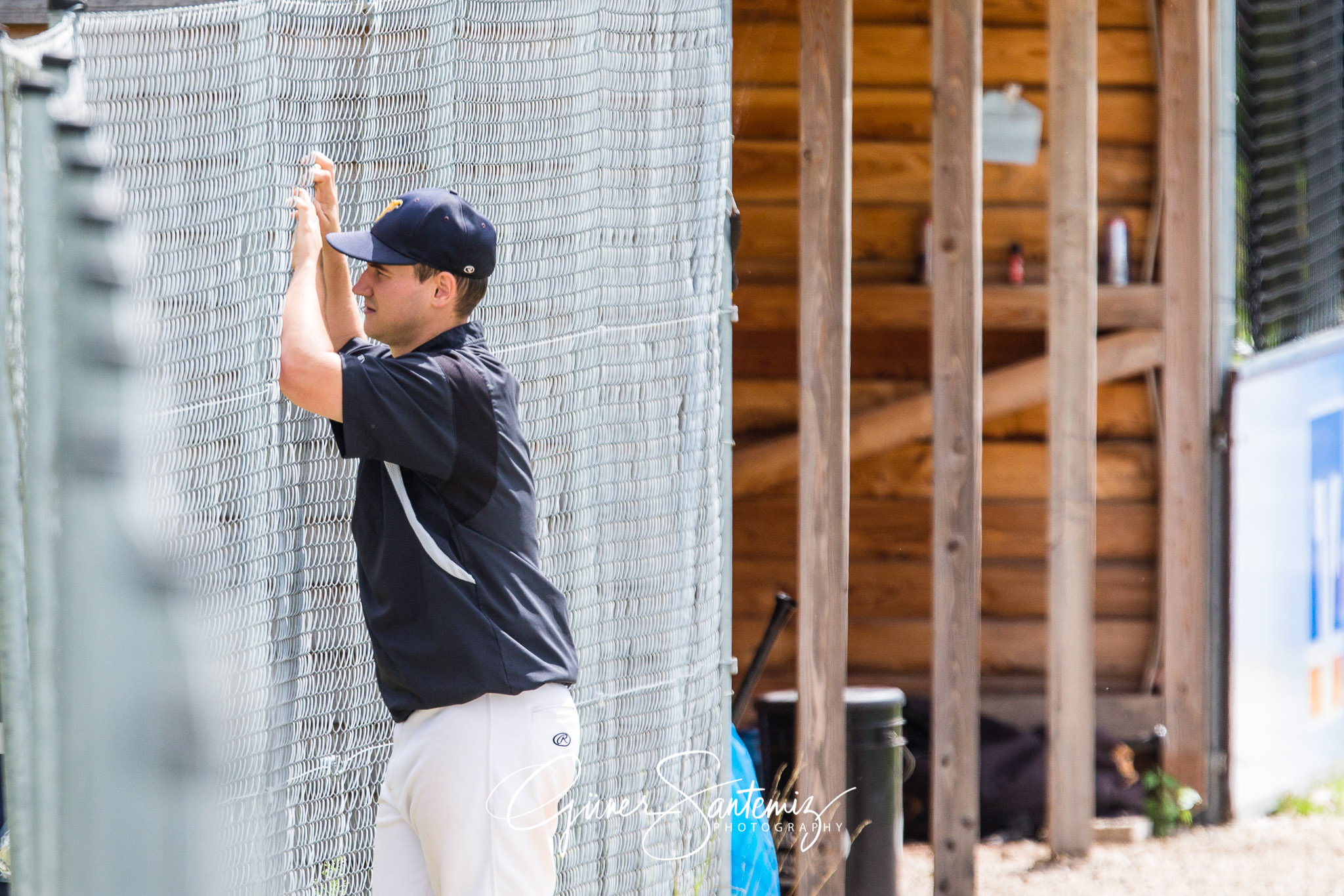 Baseball - Raiffeisen Wölfe Lauf - Fürth Pirates