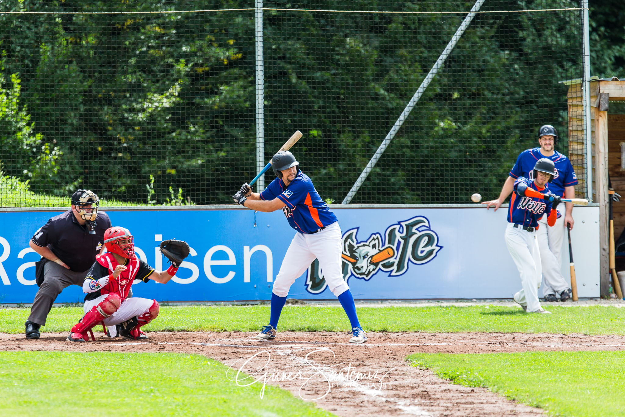 Baseball - Raiffeisen Wölfe Lauf - Fürth Pirates