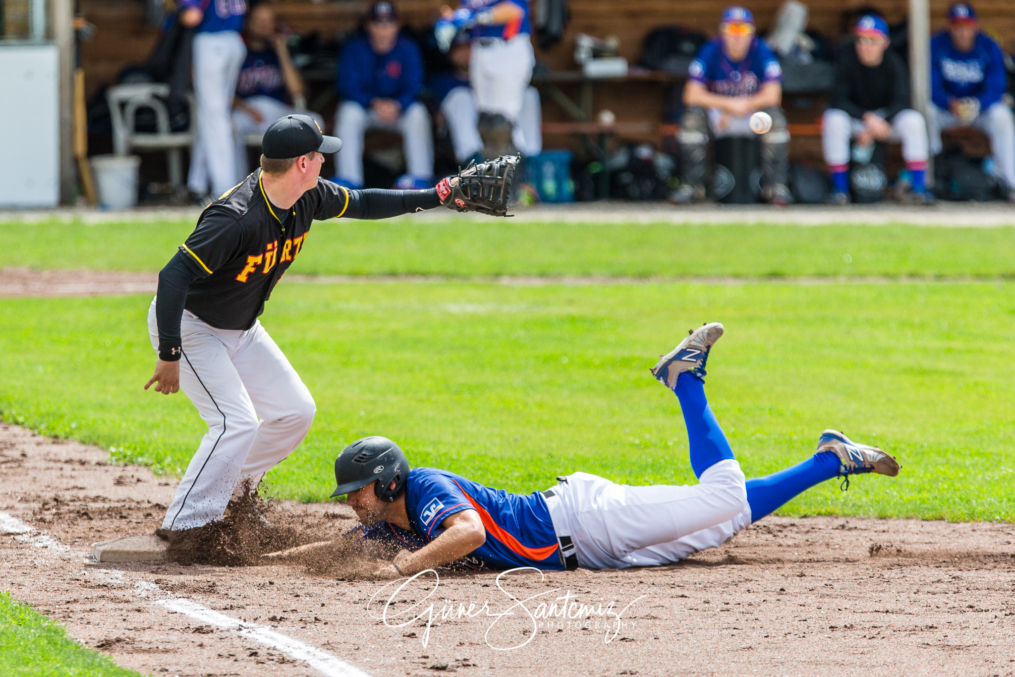 Baseball - Raiffeisen Wölfe Lauf - Fürth Pirates