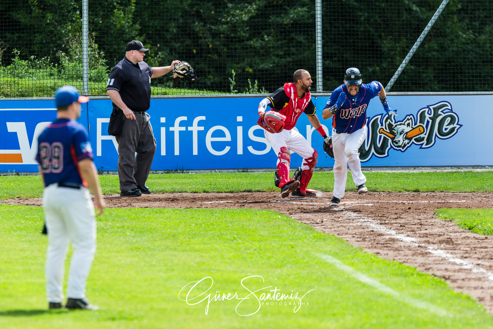 Baseball - Raiffeisen Wölfe Lauf - Fürth Pirates