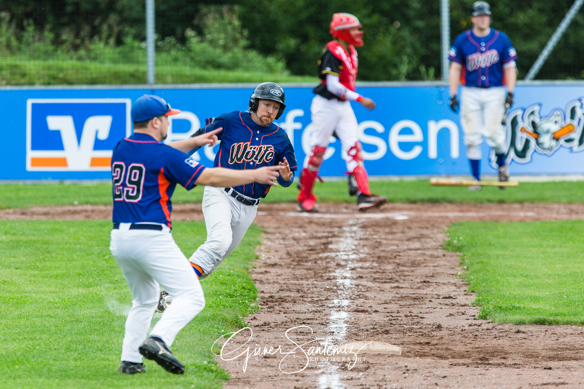 Baseball - Raiffeisen Wölfe Lauf - Fürth Pirates
