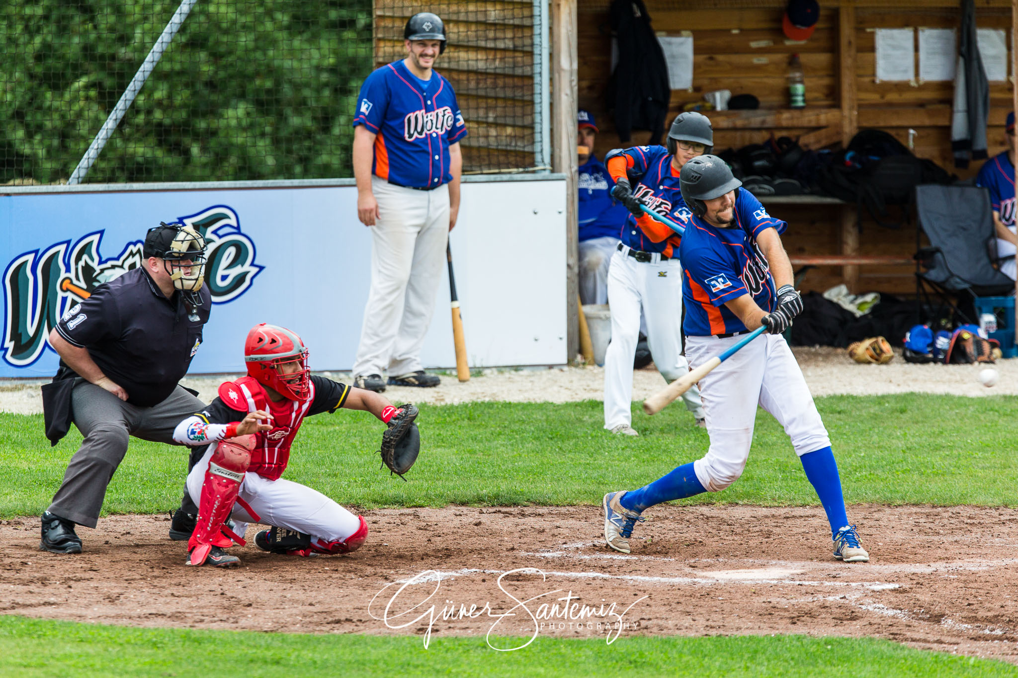 Baseball - Raiffeisen Wölfe Lauf - Fürth Pirates