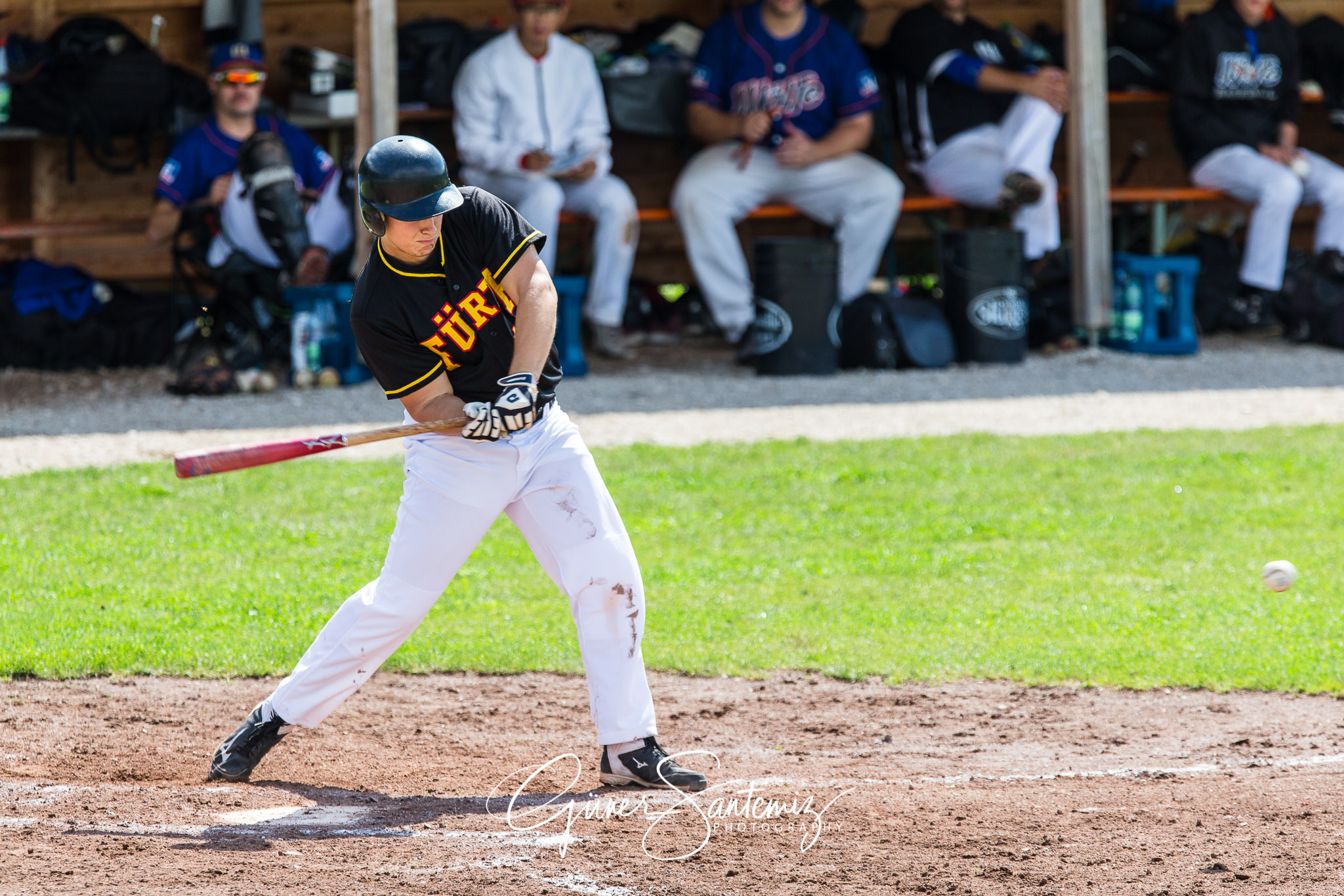 Baseball - Raiffeisen Wölfe Lauf - Fürth Pirates