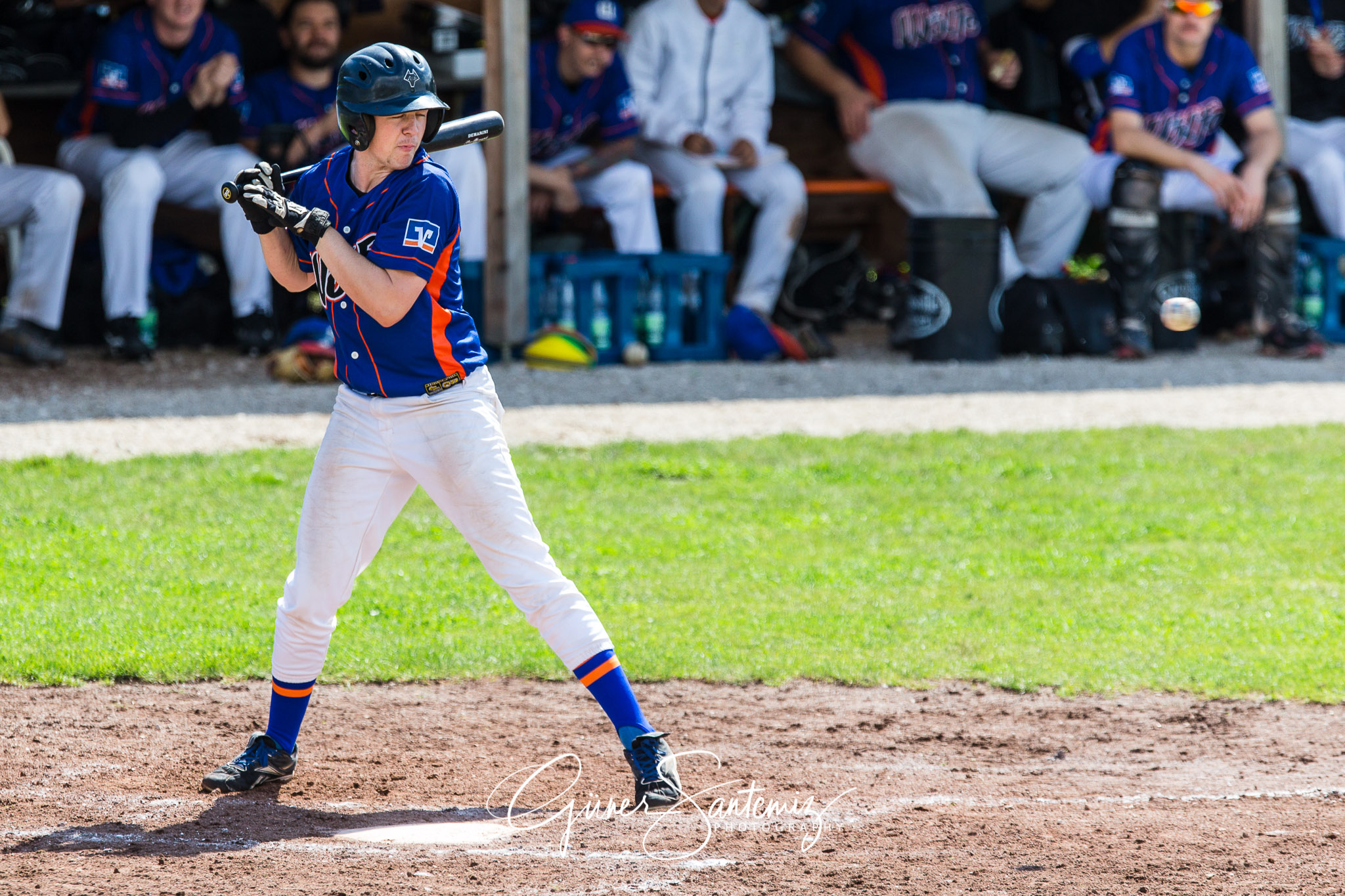 Baseball - Raiffeisen Wölfe Lauf - Fürth Pirates