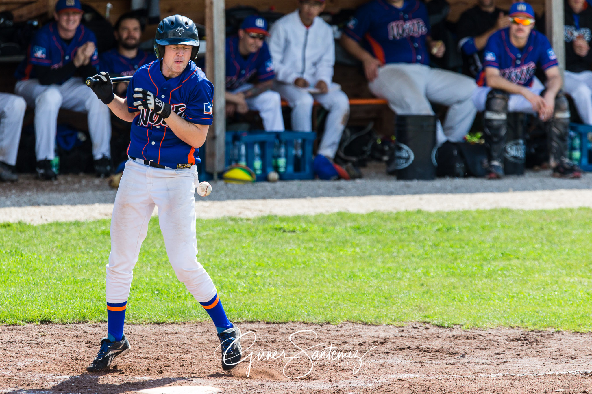 Baseball - Raiffeisen Wölfe Lauf - Fürth Pirates