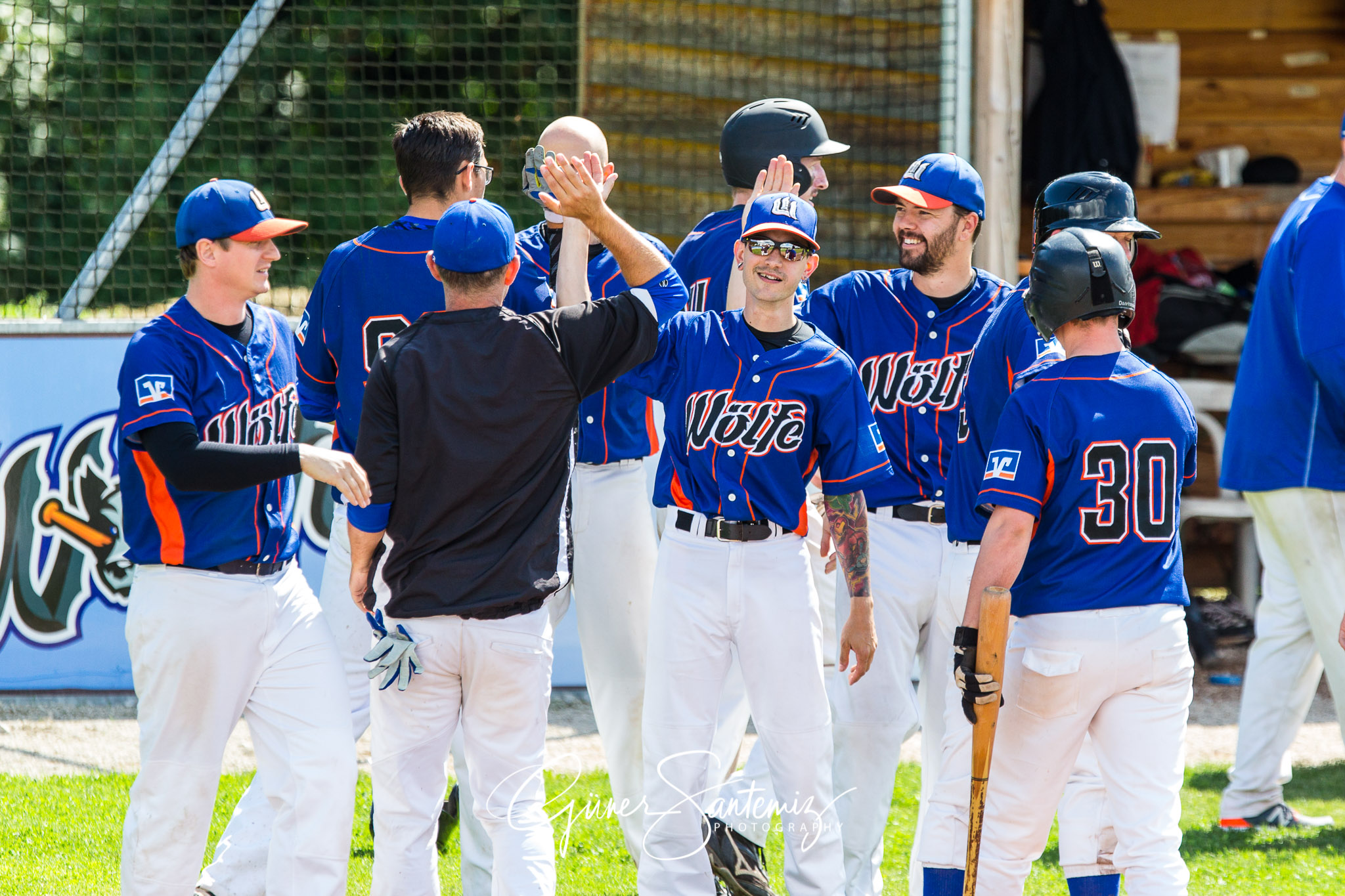 Baseball - Raiffeisen Wölfe Lauf - Fürth Pirates