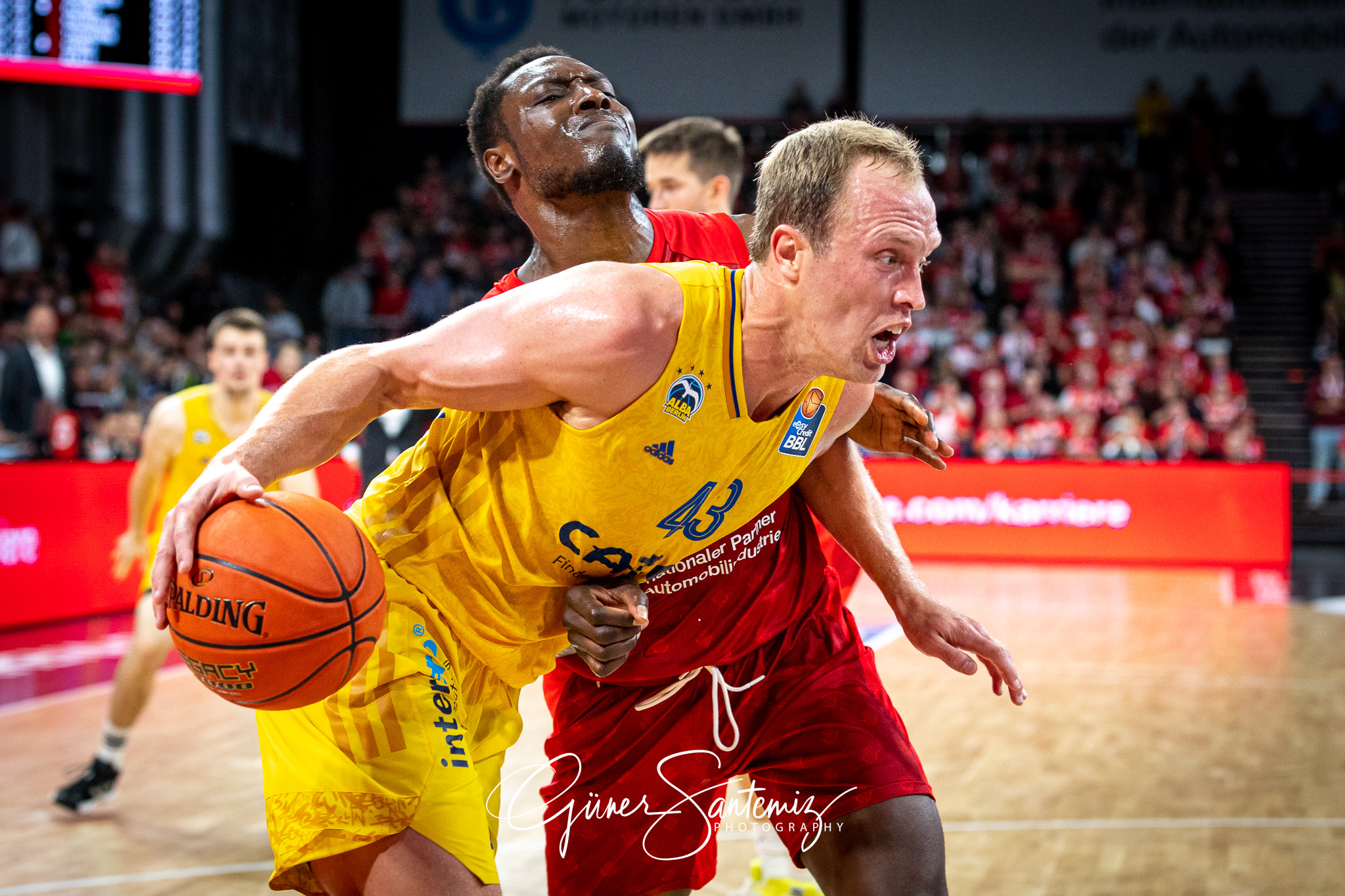 Brose Bamberg vs. Alba Berlin - Basketball - easyCredit BBL - 1.
