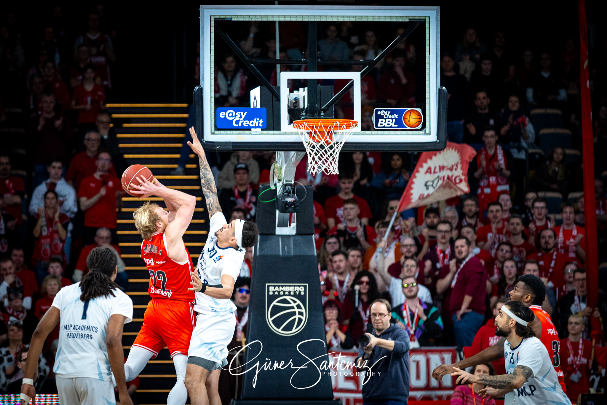 Bamberg Baskets vs. MLP Academics Heidelberg - Basketball - easy