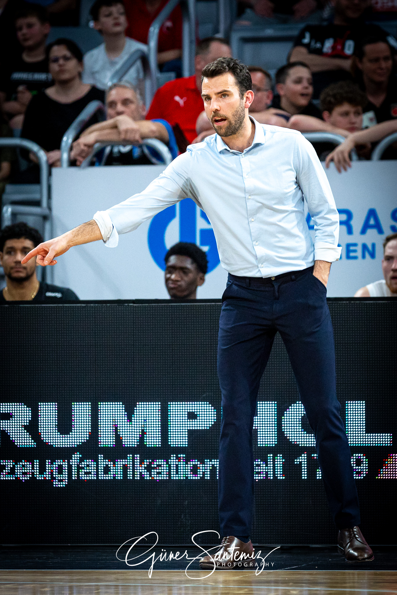 Bamberg Baskets vs. Veolia Hamburg Towers - Basketball - easyCre