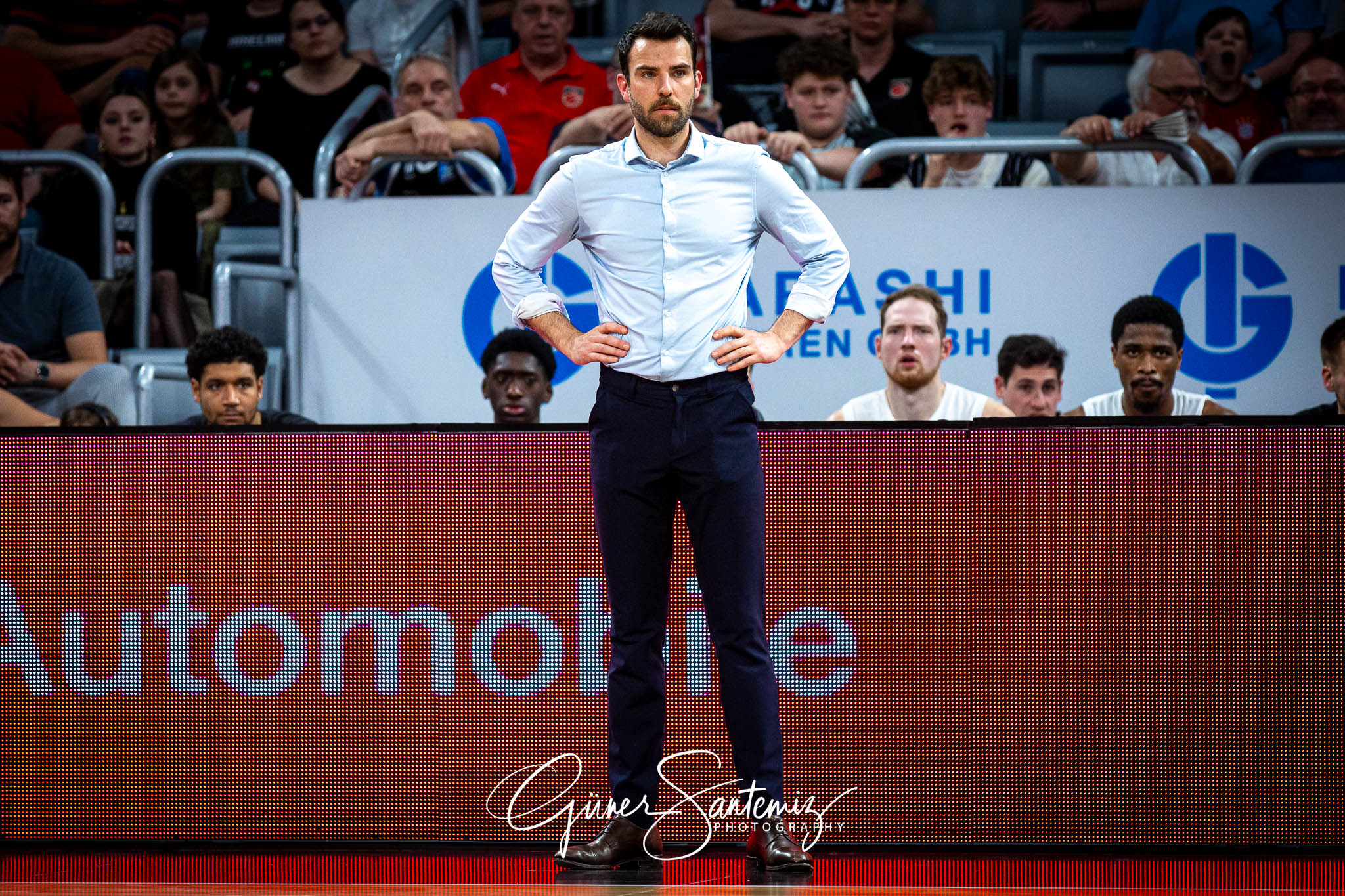 Bamberg Baskets vs. Veolia Hamburg Towers - Basketball - easyCre