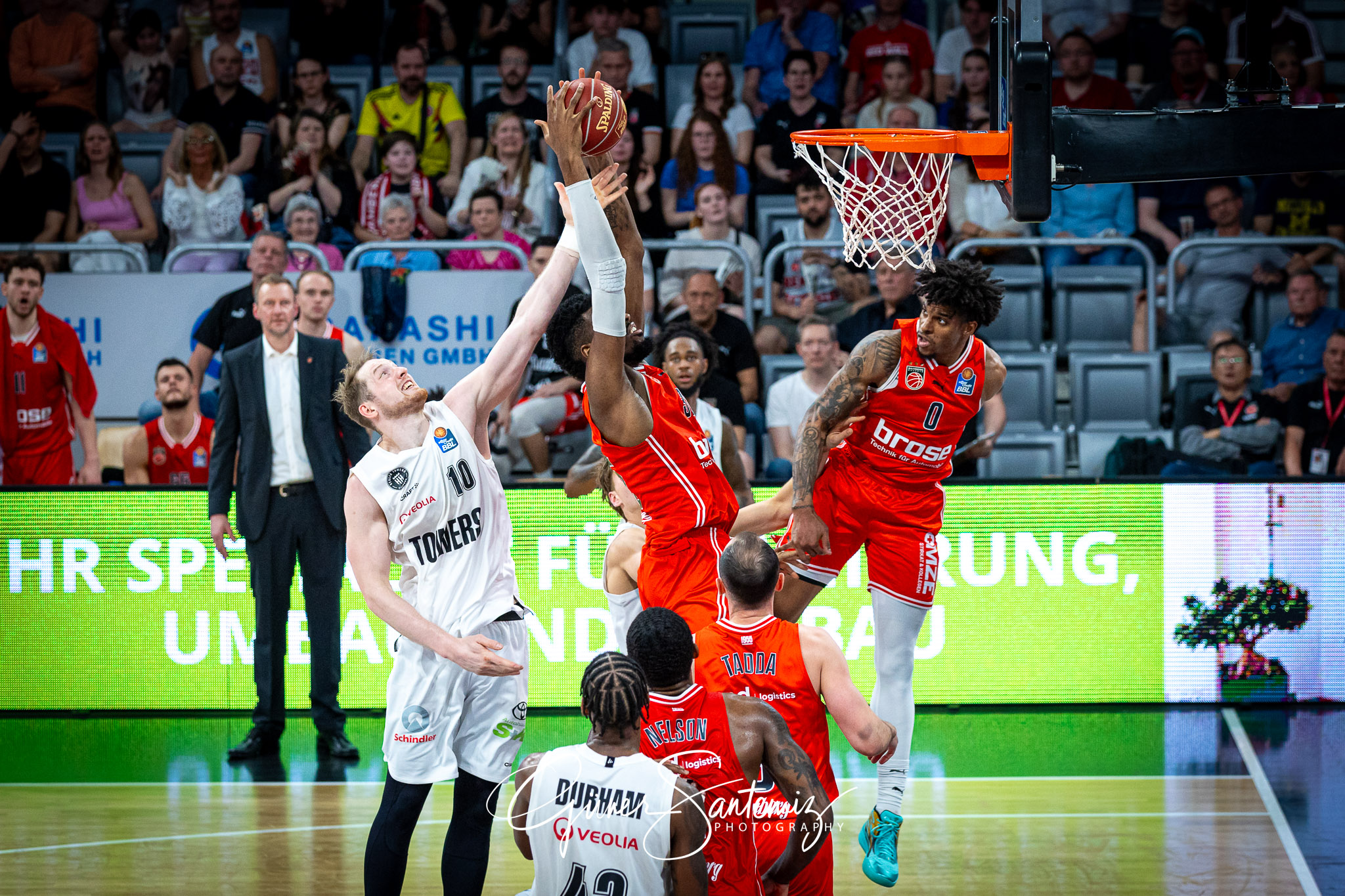 Bamberg Baskets vs. Veolia Hamburg Towers - Basketball - easyCre